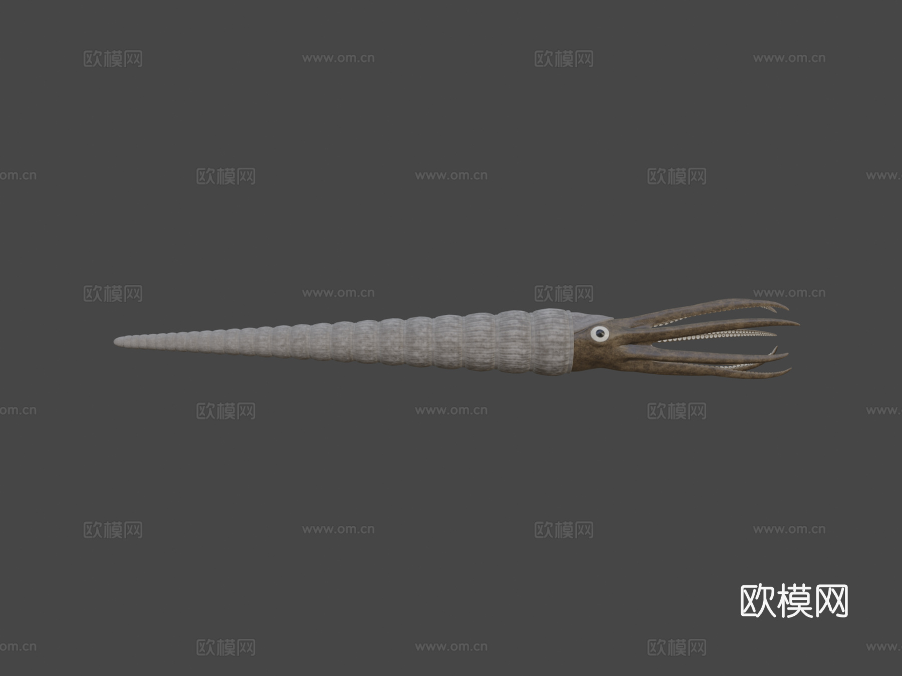 动画版房角石su模型