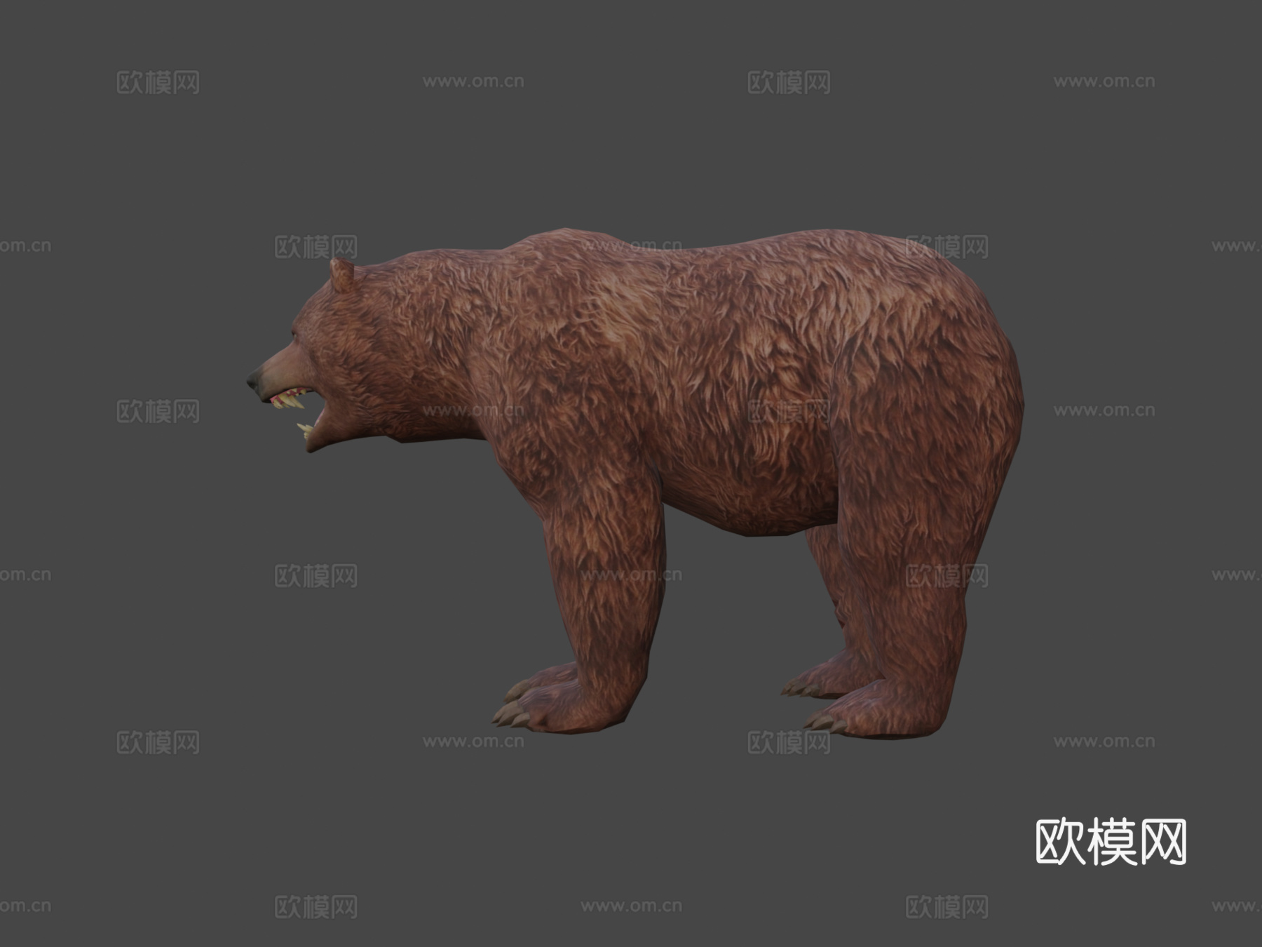 真实熊su模型下载（渲染图6）