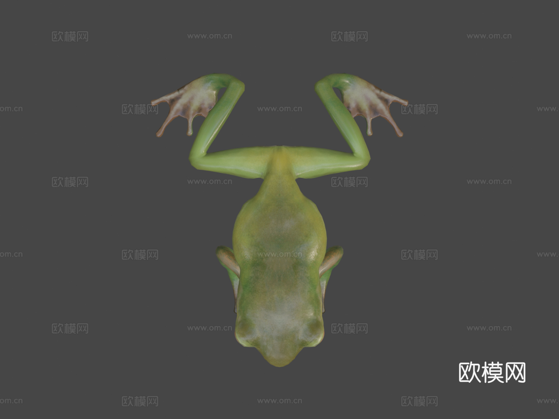 青蛙低多边形su模型