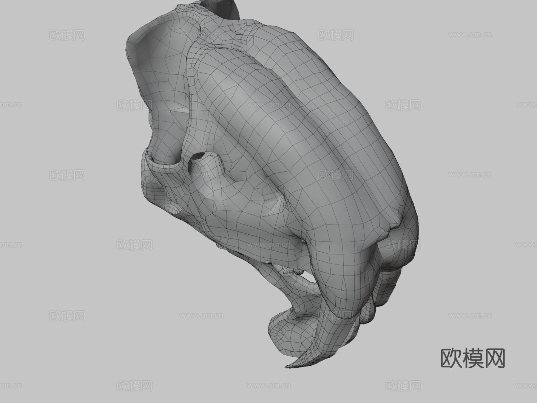 凶袋剑齿虎头骨su模型