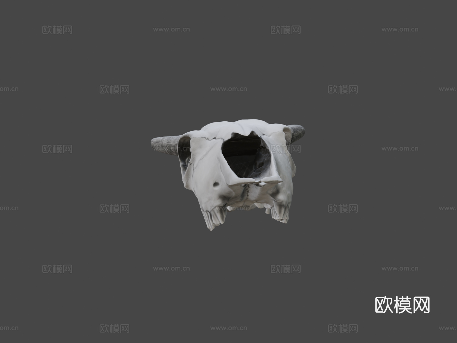 小野牛头骨su模型