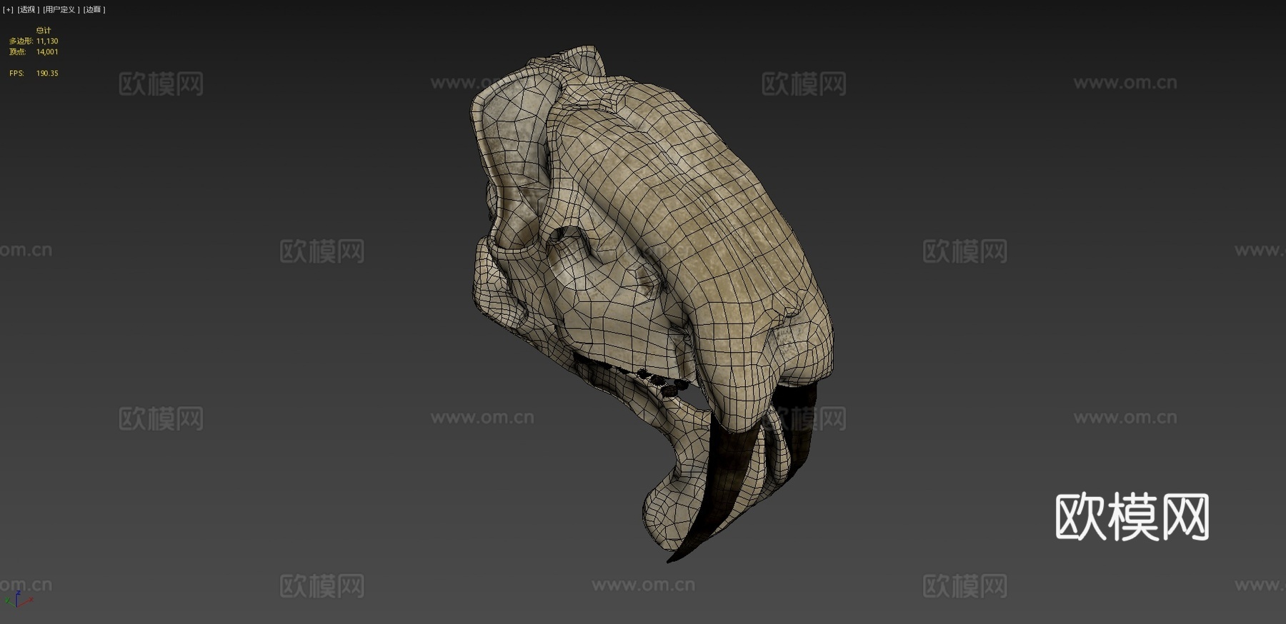 凶袋剑齿虎头骨su模型