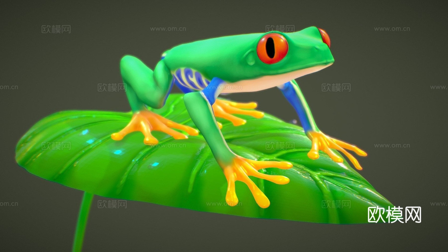 红眼树蛙su模型下载（渲染图1）