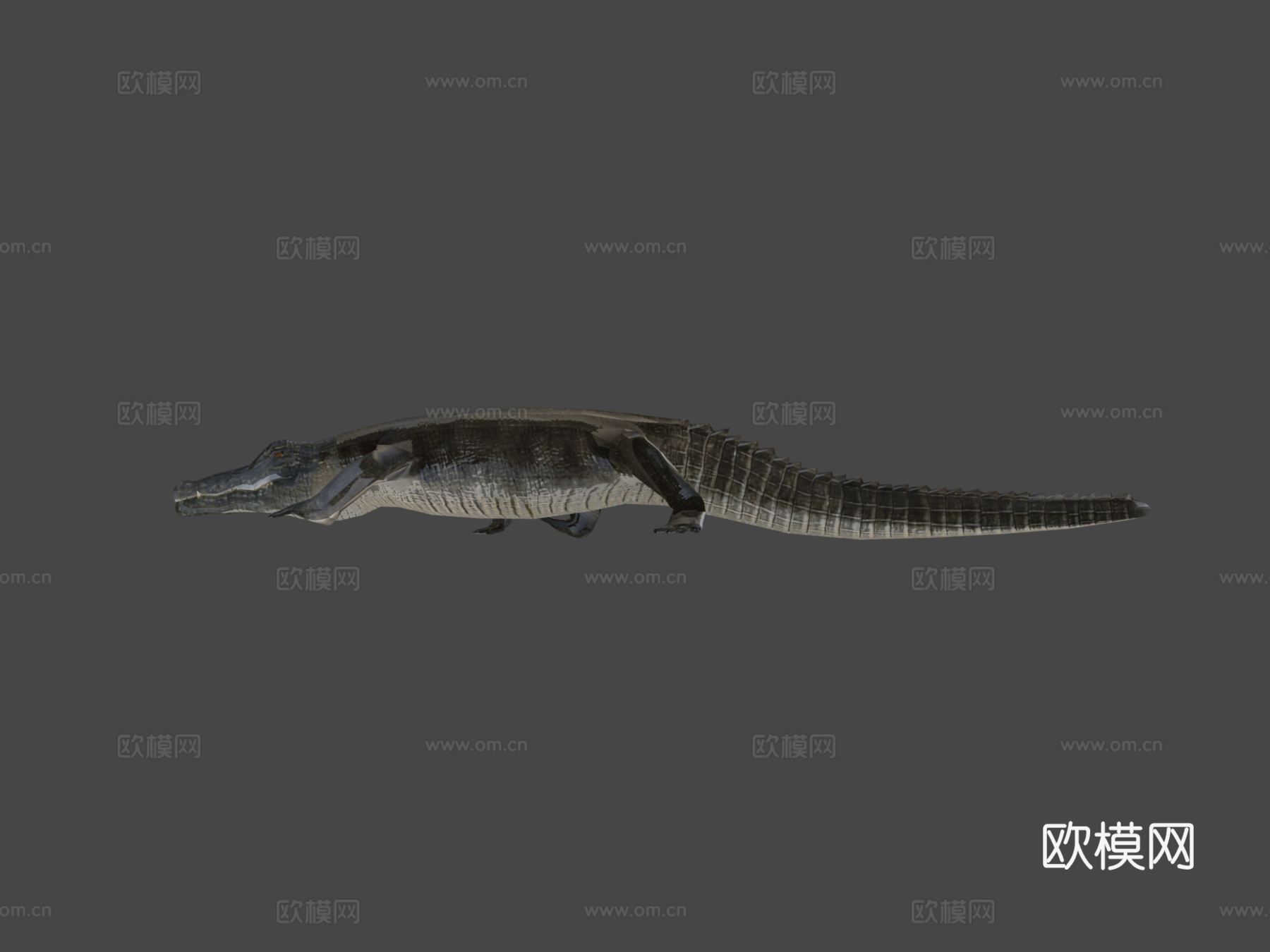 鳄鱼su模型