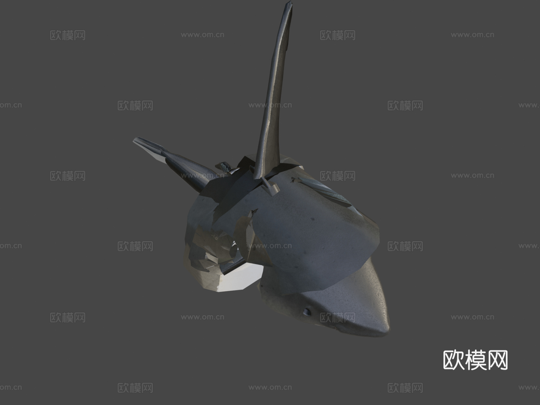 大白鲨噬人鲨su模型