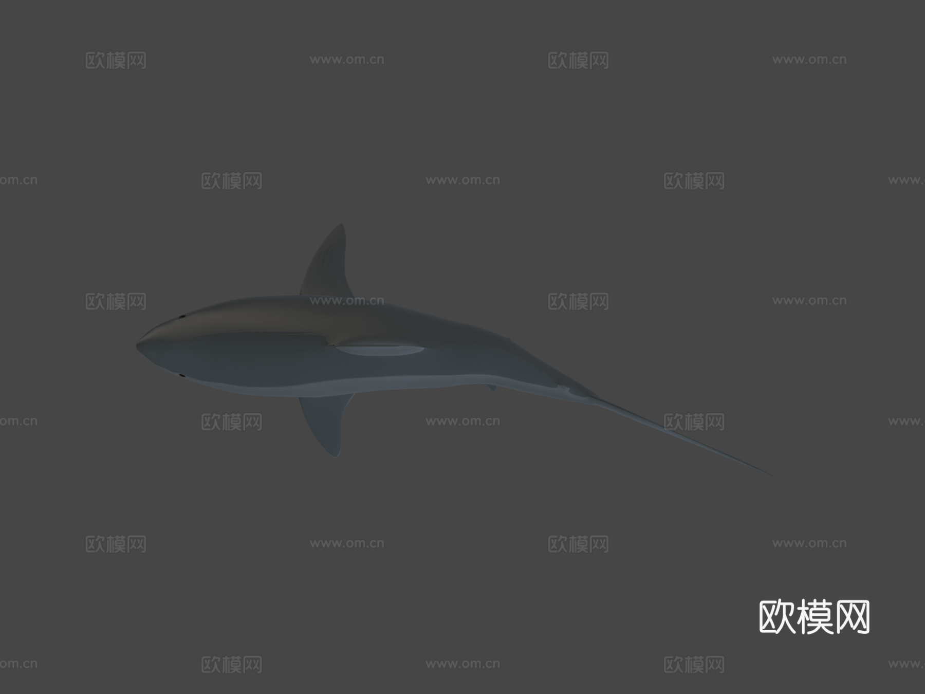 鲨鱼su模型下载（渲染图7）