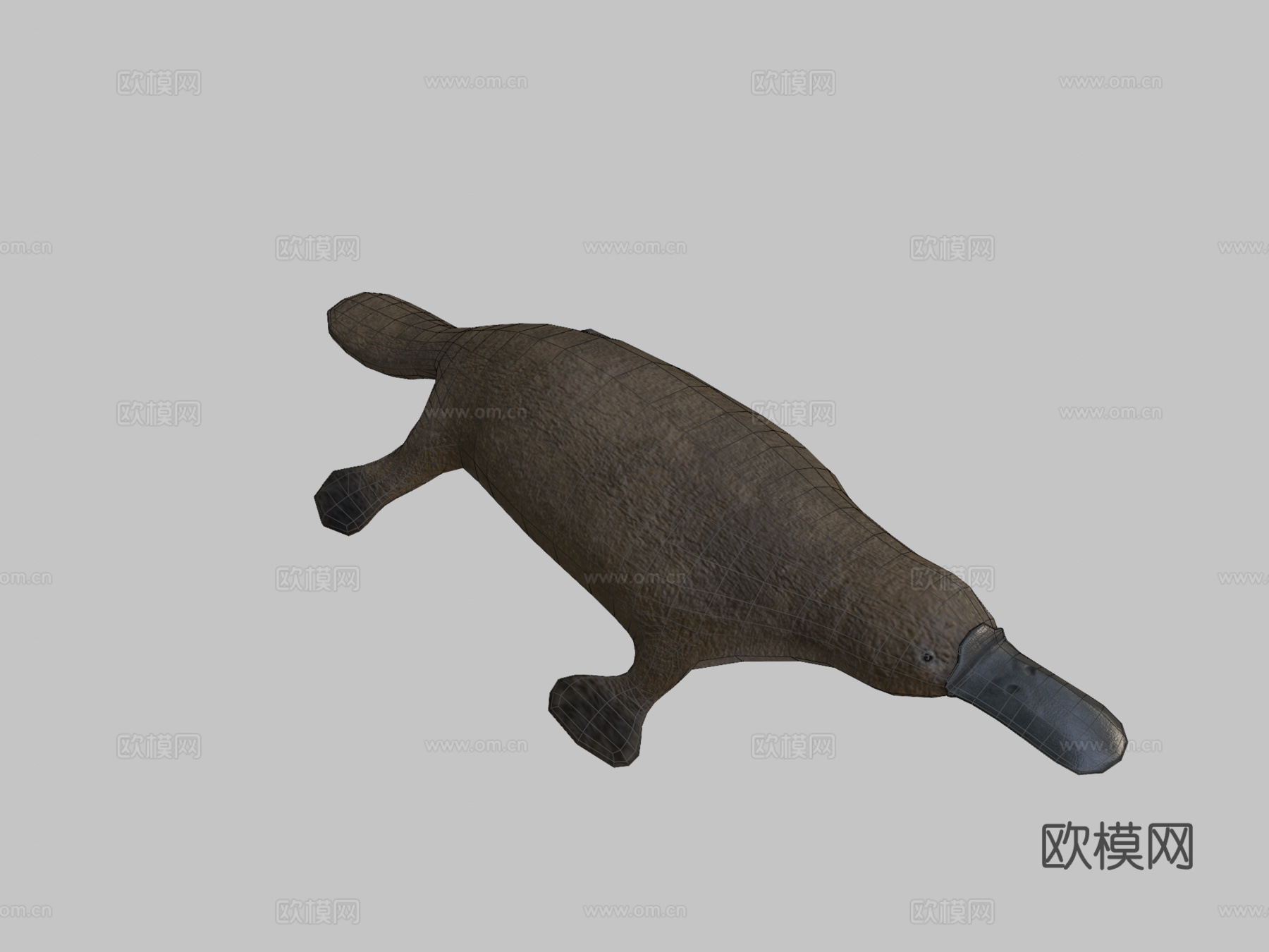 鸭嘴兽su模型