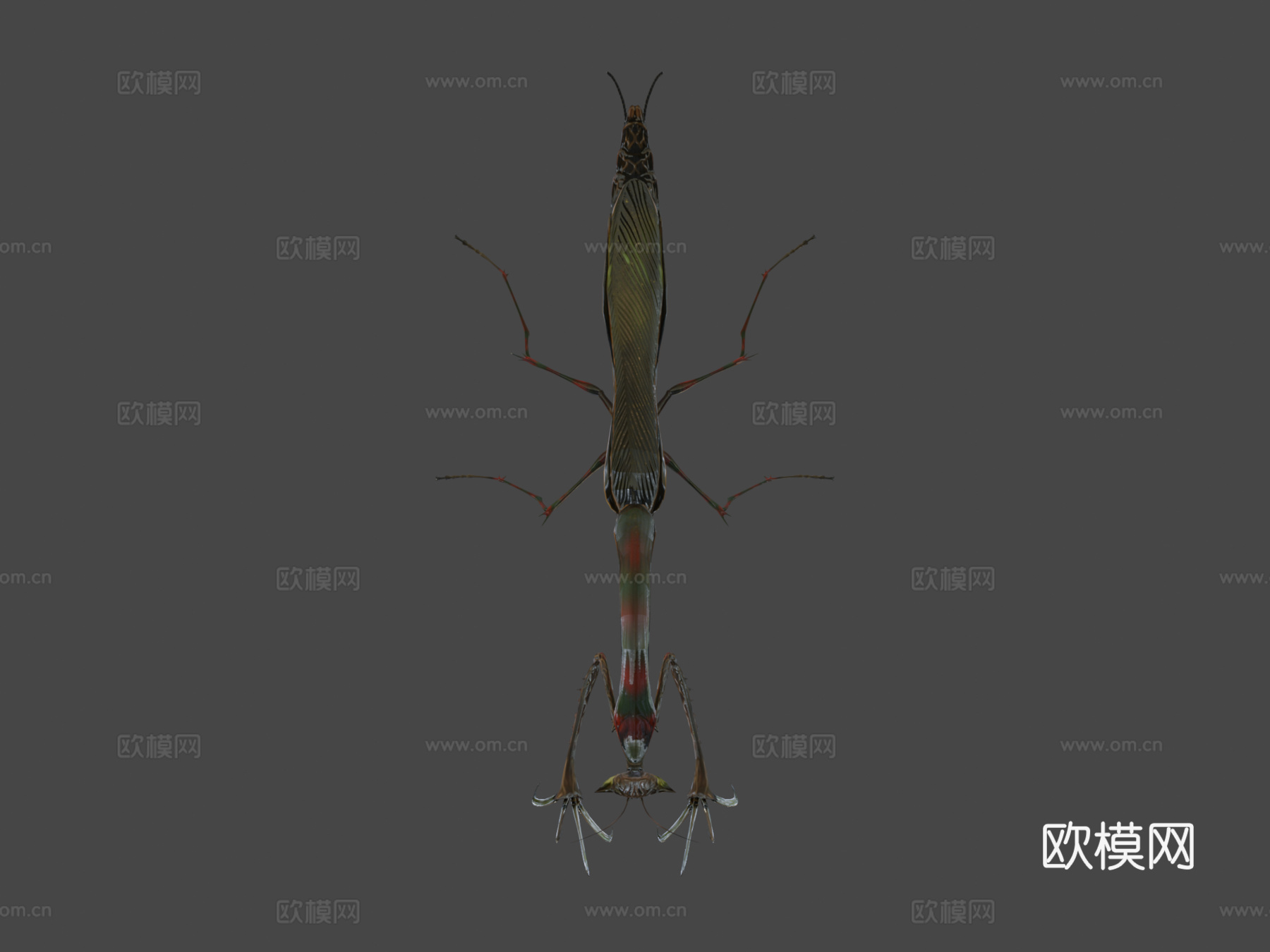 梦魇螳螂su模型下载（渲染图8）