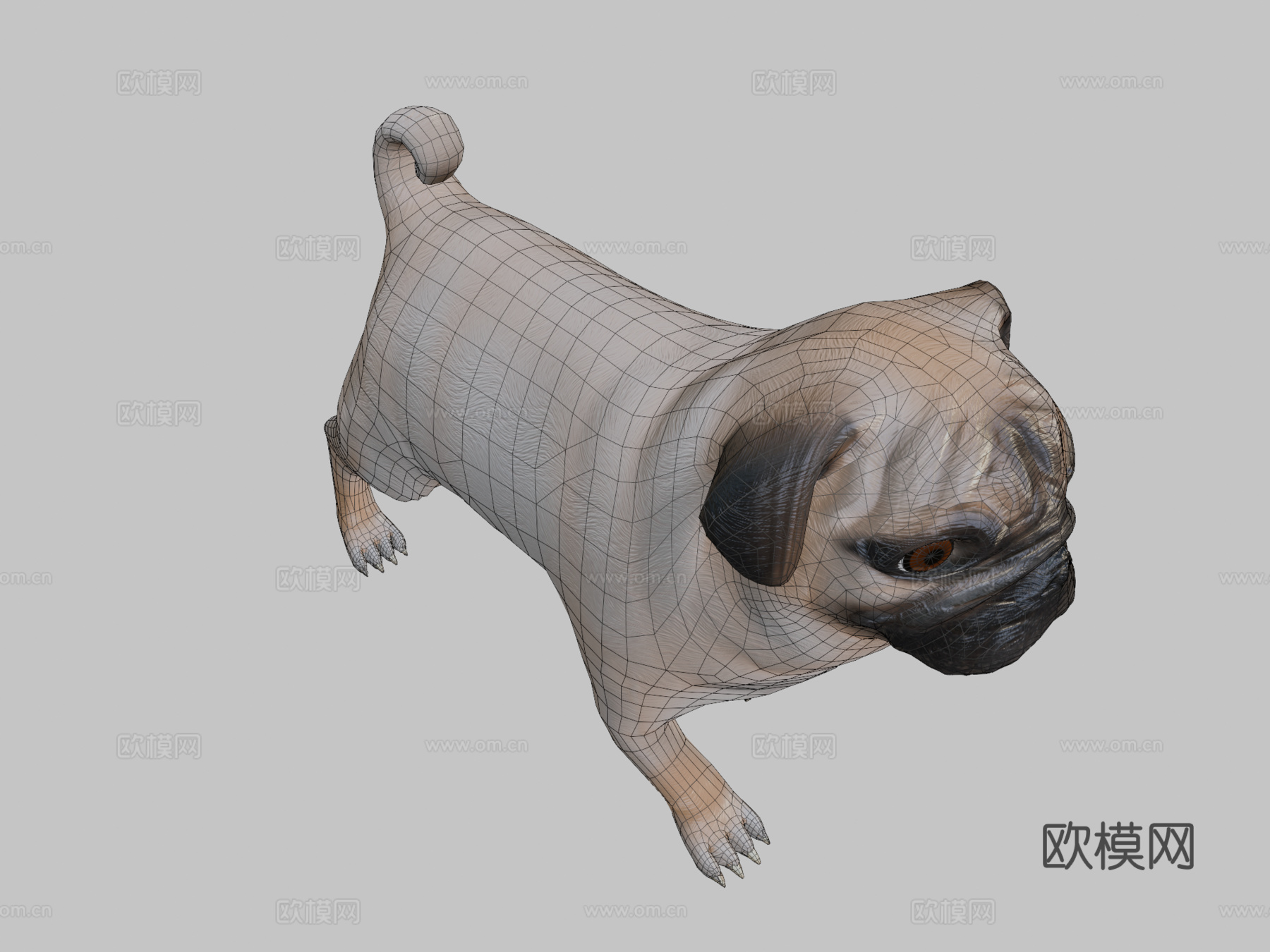 低多边形风格化狗巴哥犬su模型