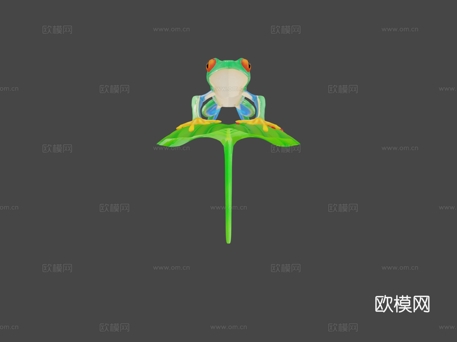 红眼树蛙su模型下载（渲染图6）