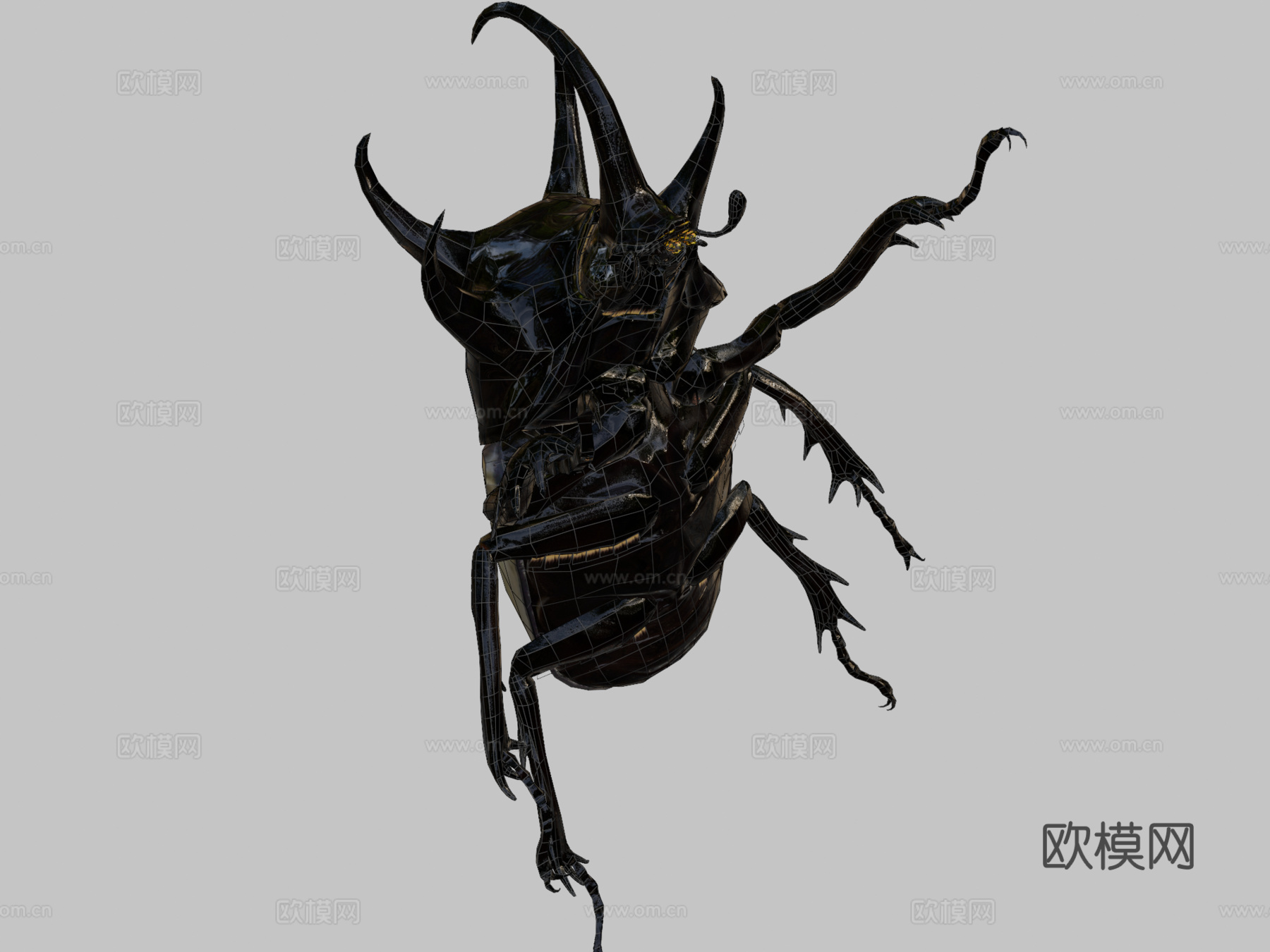 大王花金龟su模型下载（渲染图2）