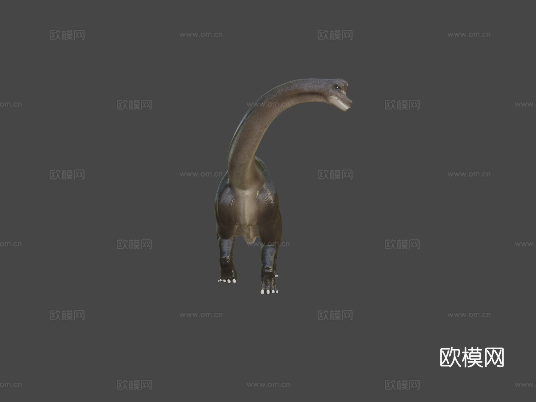 腕龙su模型