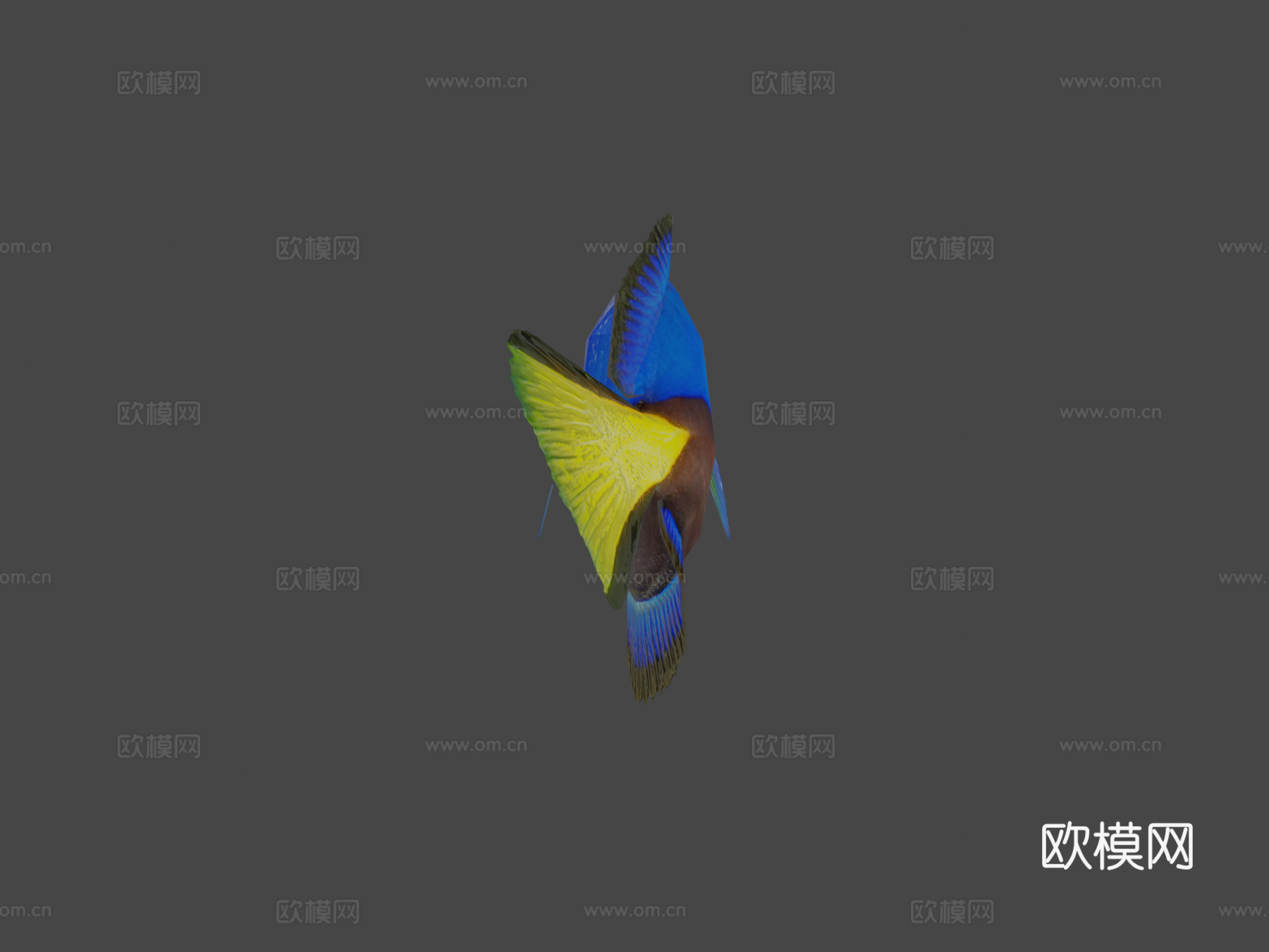 多莉su模型下载（渲染图5）