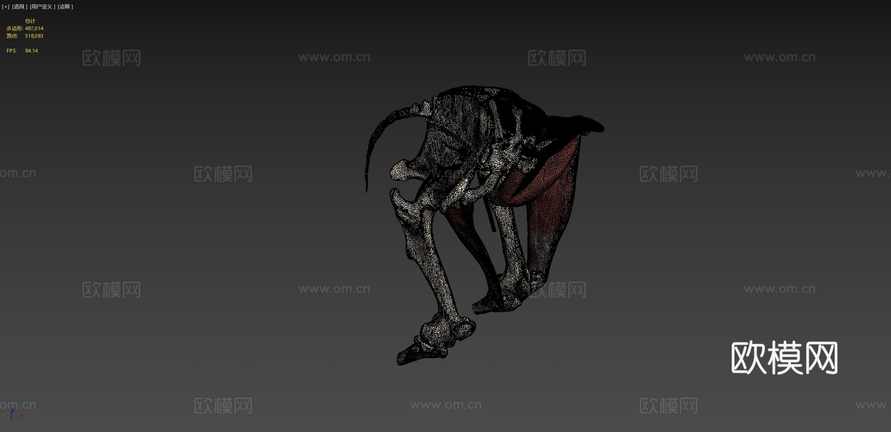 马骶髂区神经分布su模型