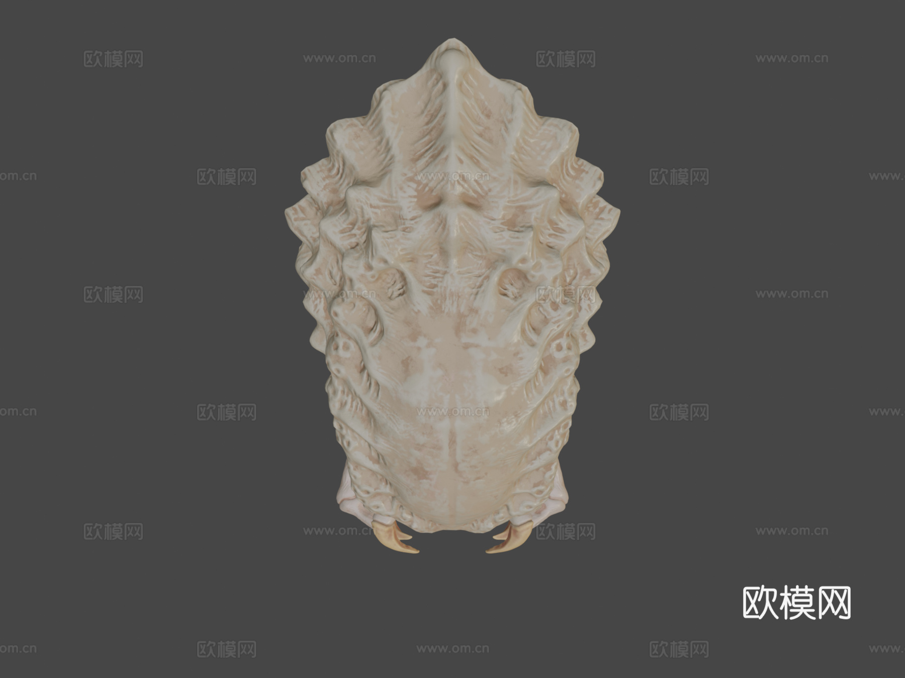 掠食者头骨su模型