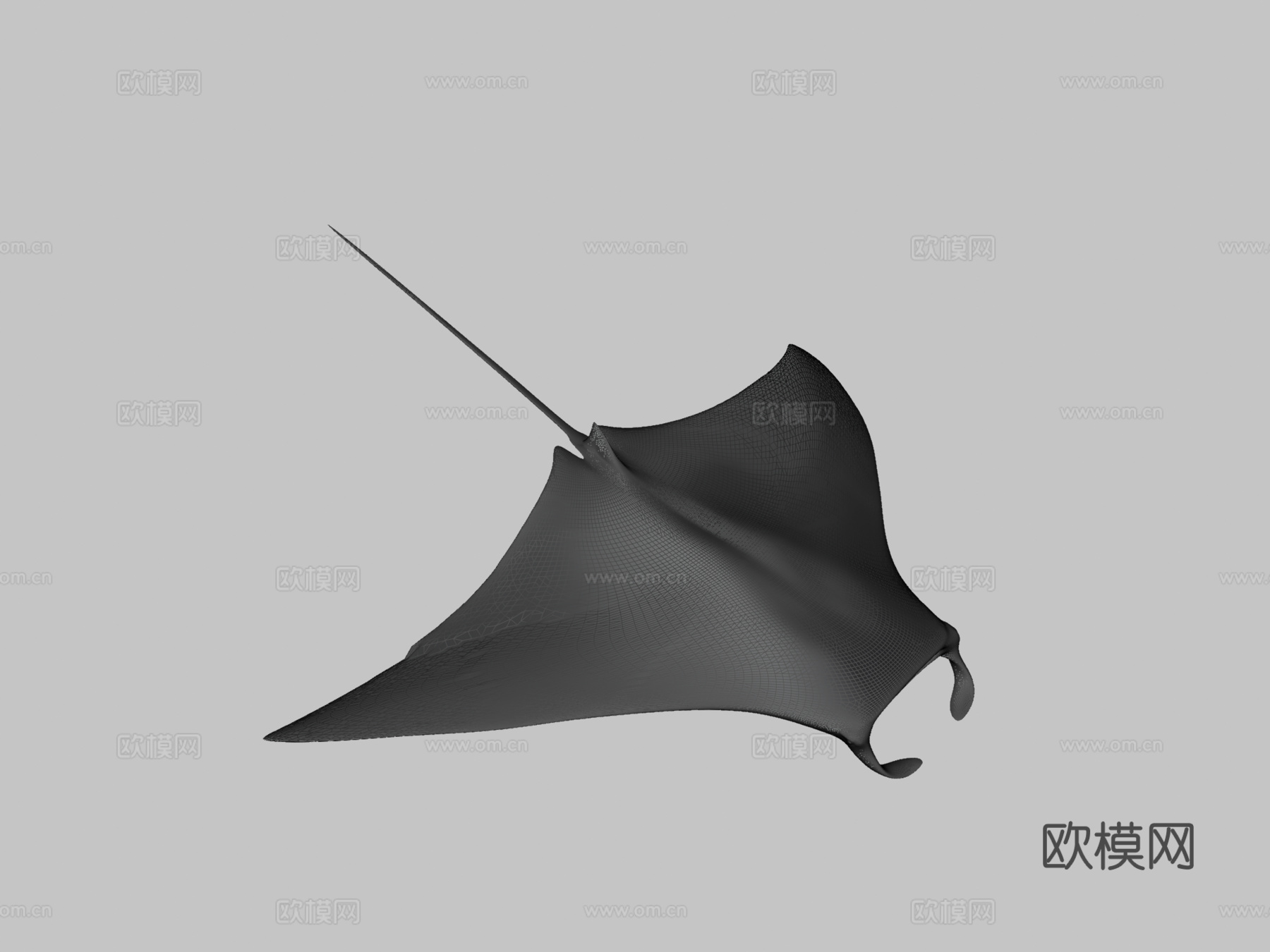 动画蝠鲼su模型