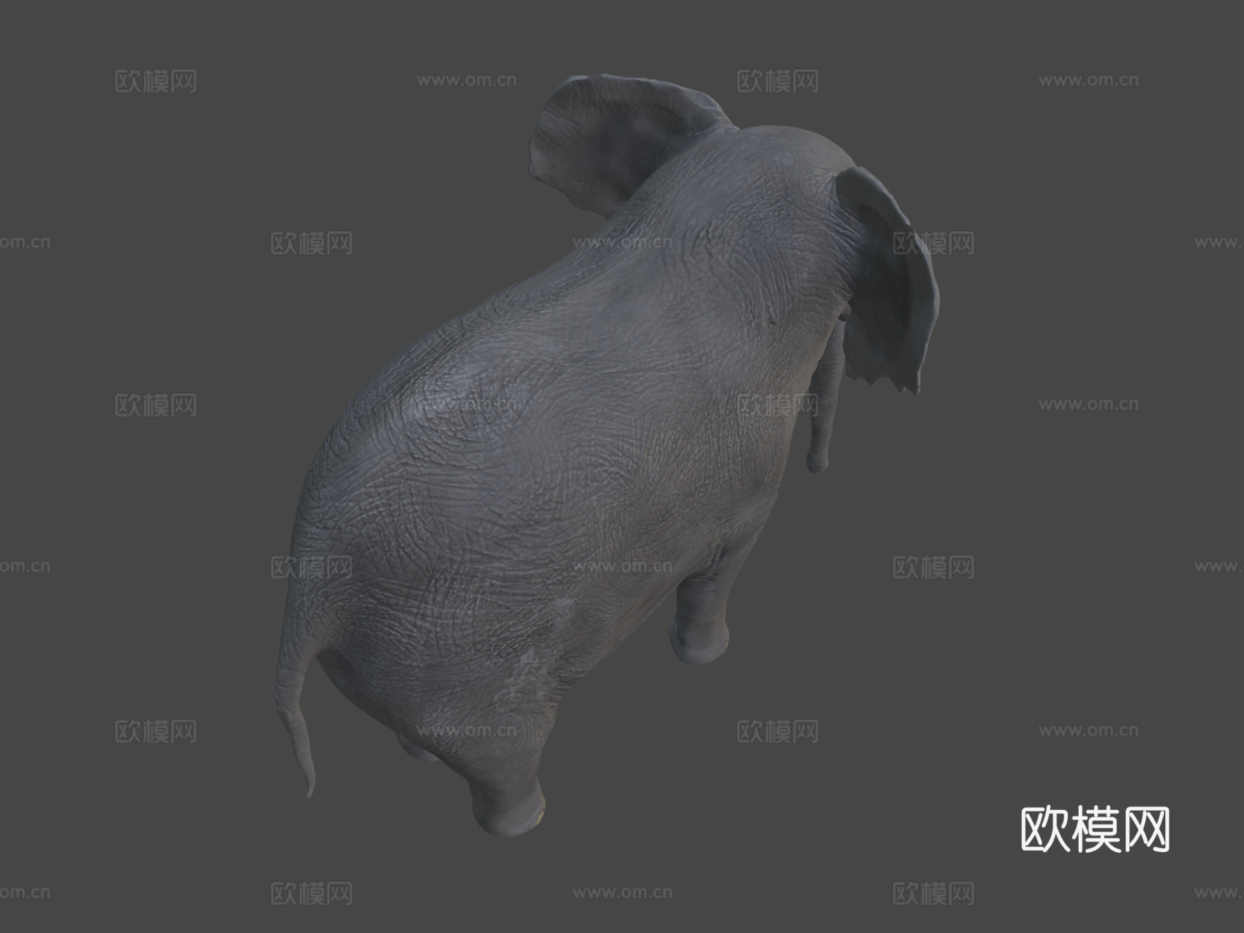 非洲象su模型下载（渲染图8）