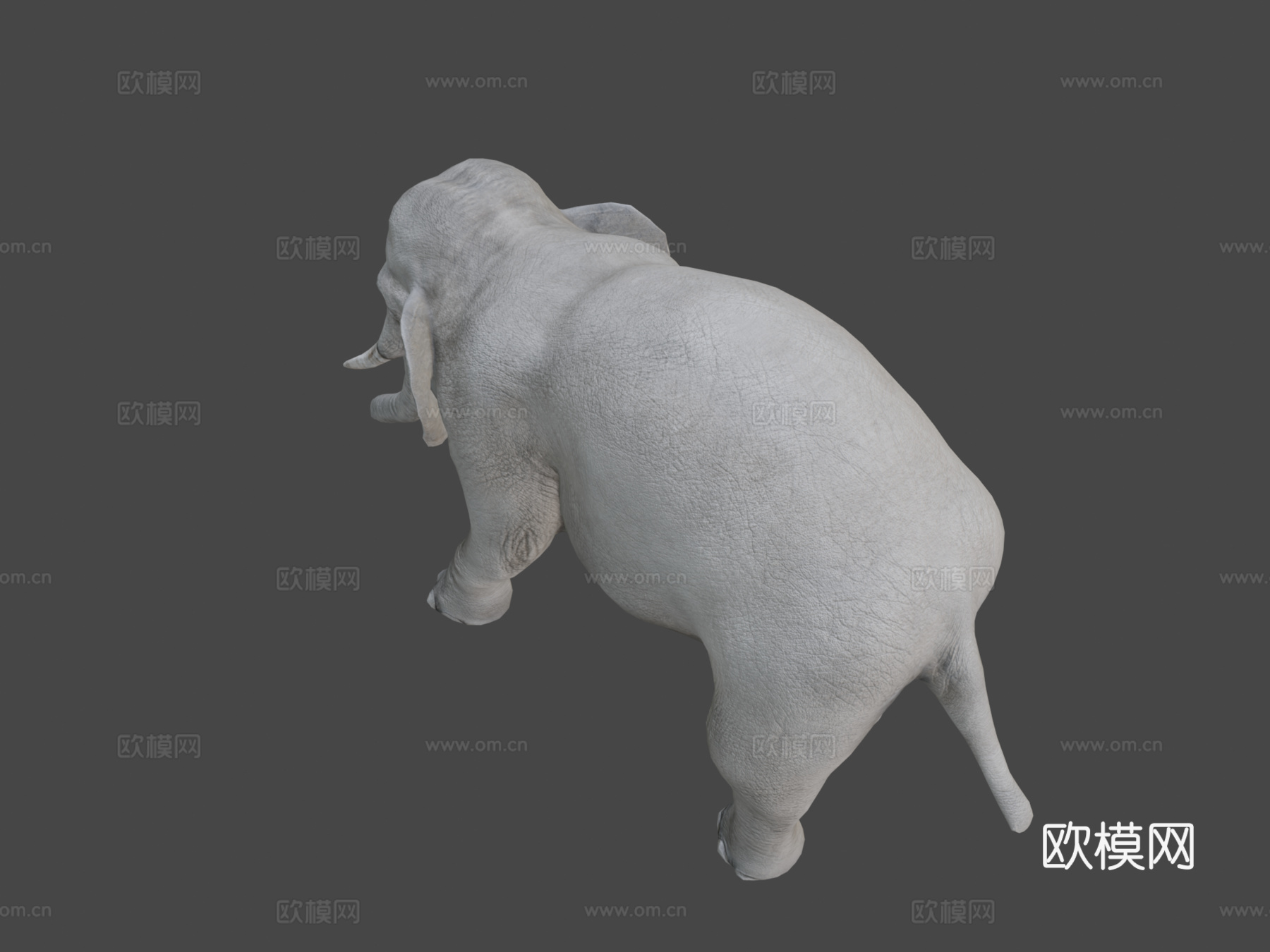 大象su模型