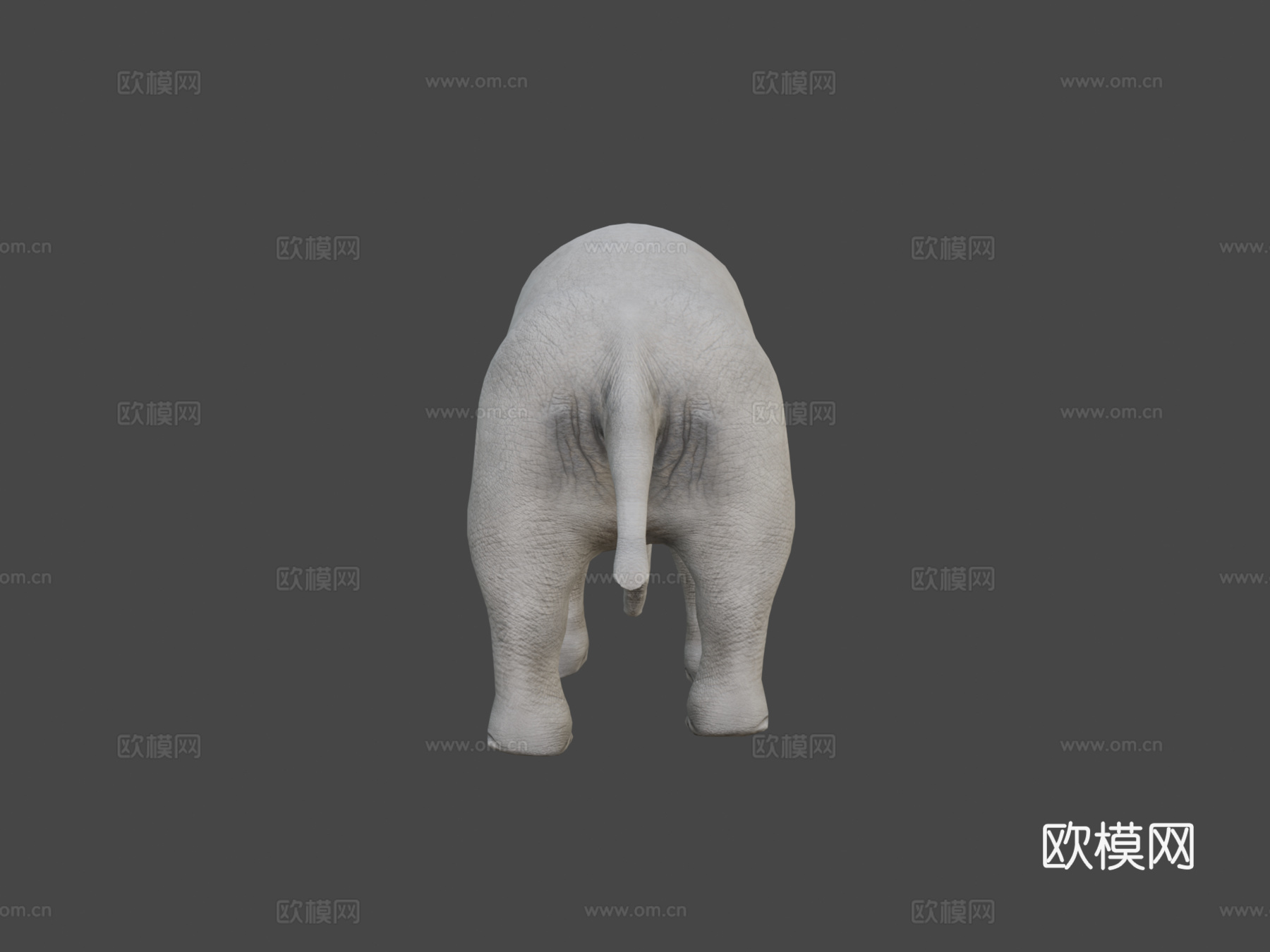 大象su模型