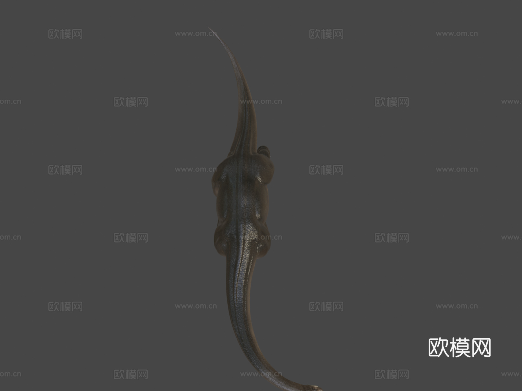腕龙su模型