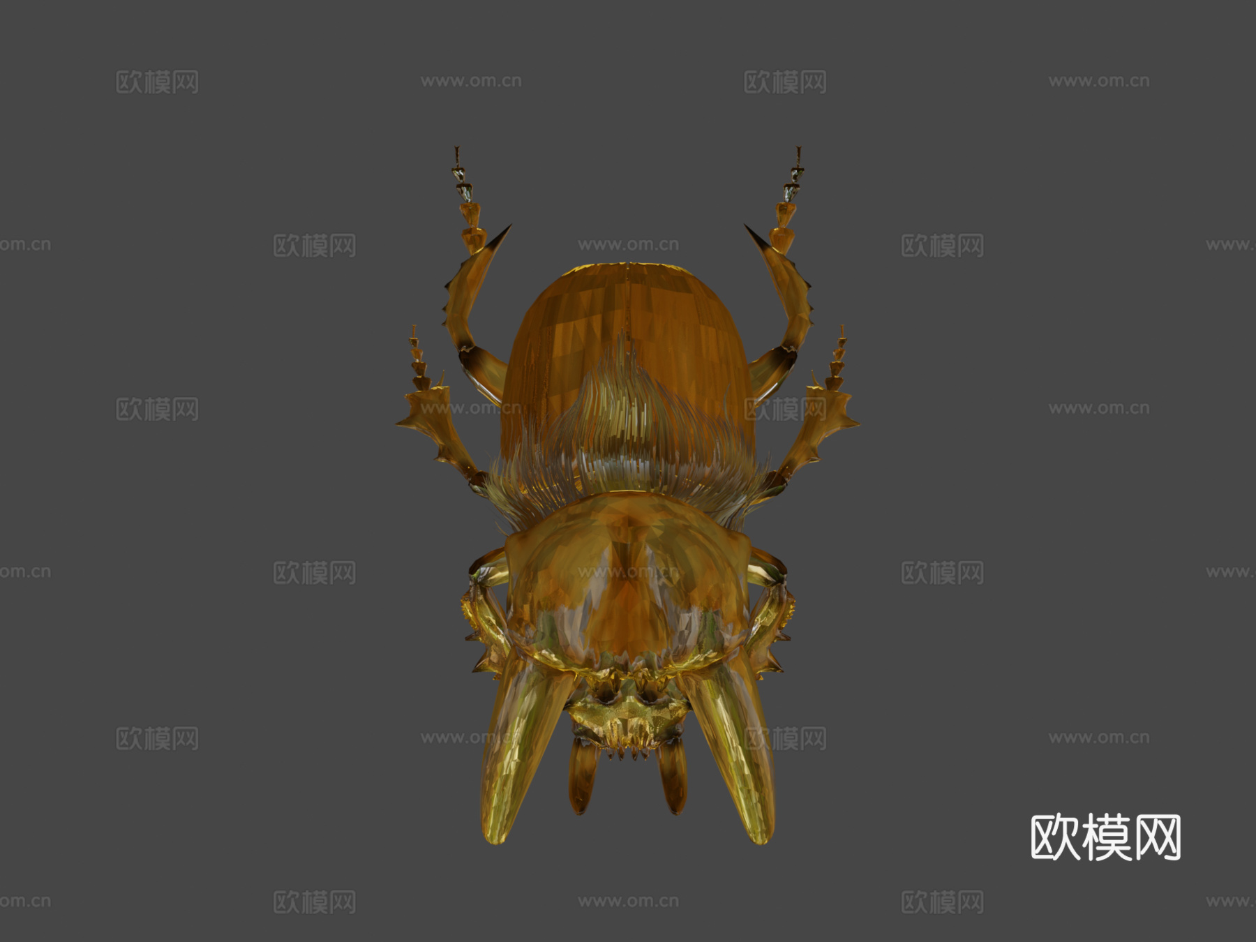 金色虎甲虫su模型