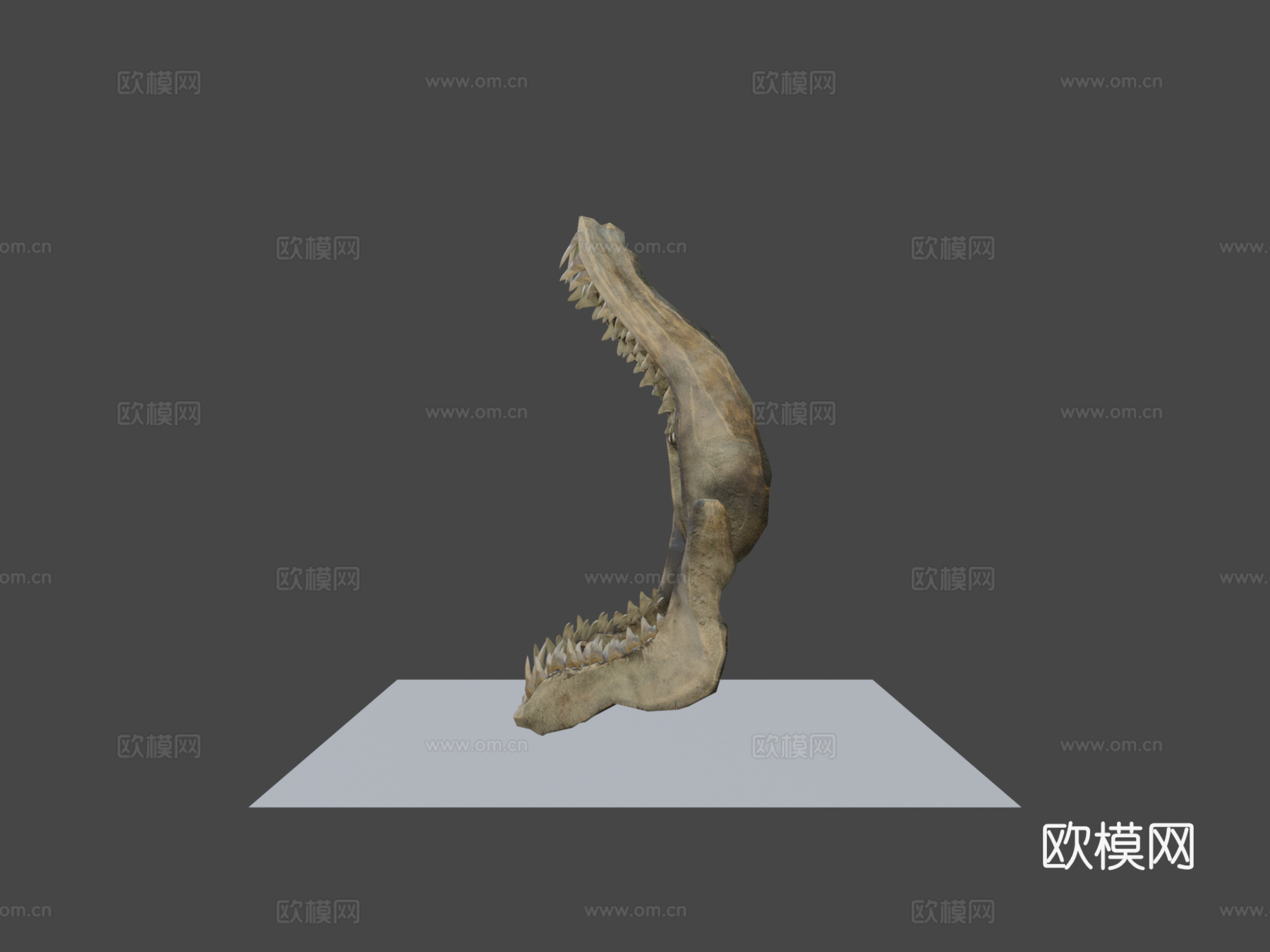 鲨鱼牙su模型下载（渲染图5）