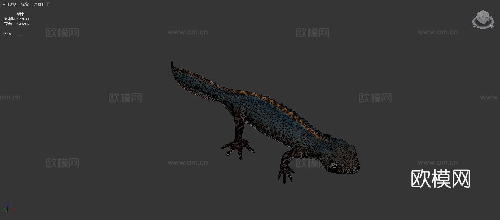 高山蝾螈su模型下载（渲染图4）