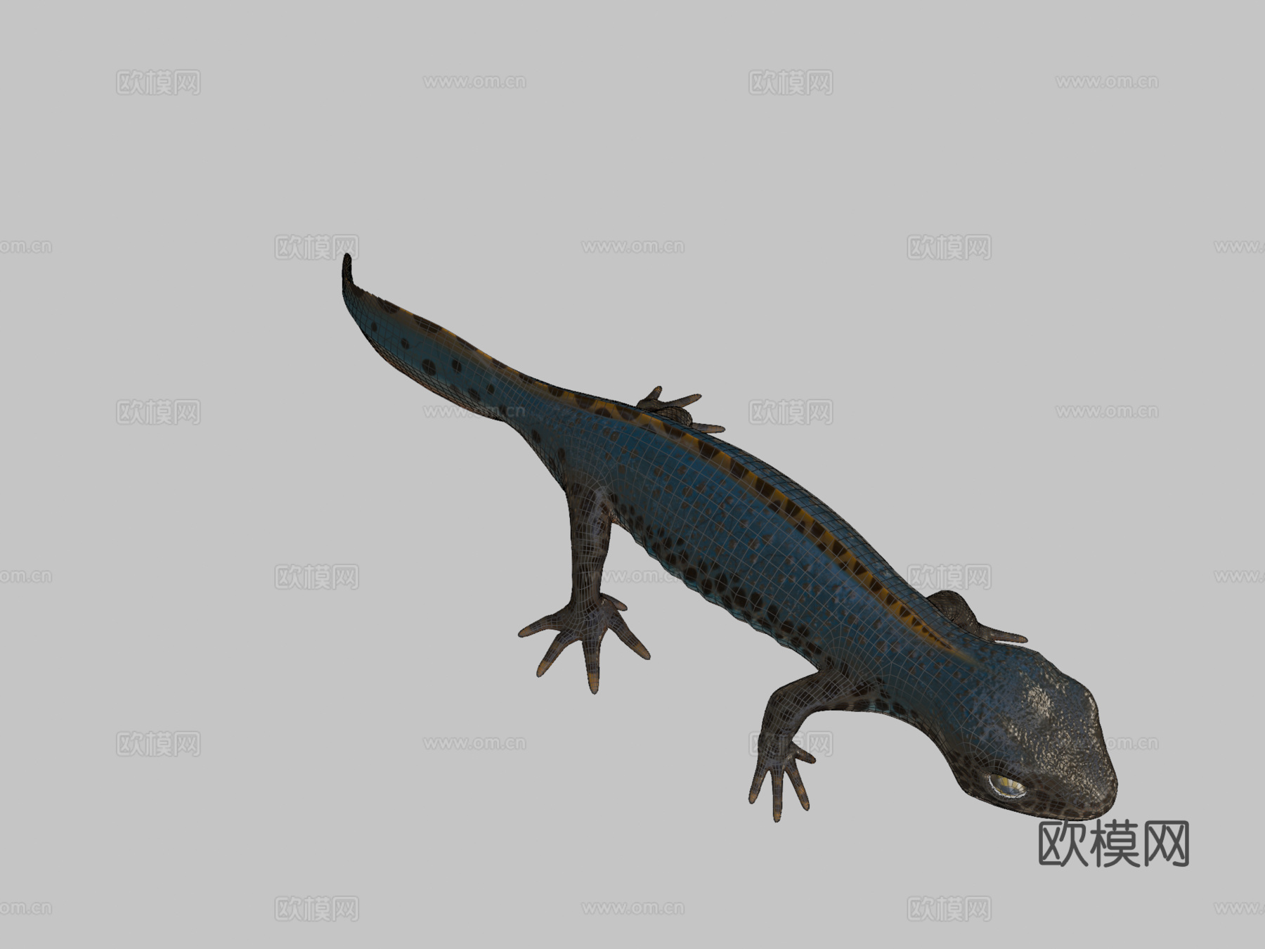 高山蝾螈su模型下载（渲染图2）