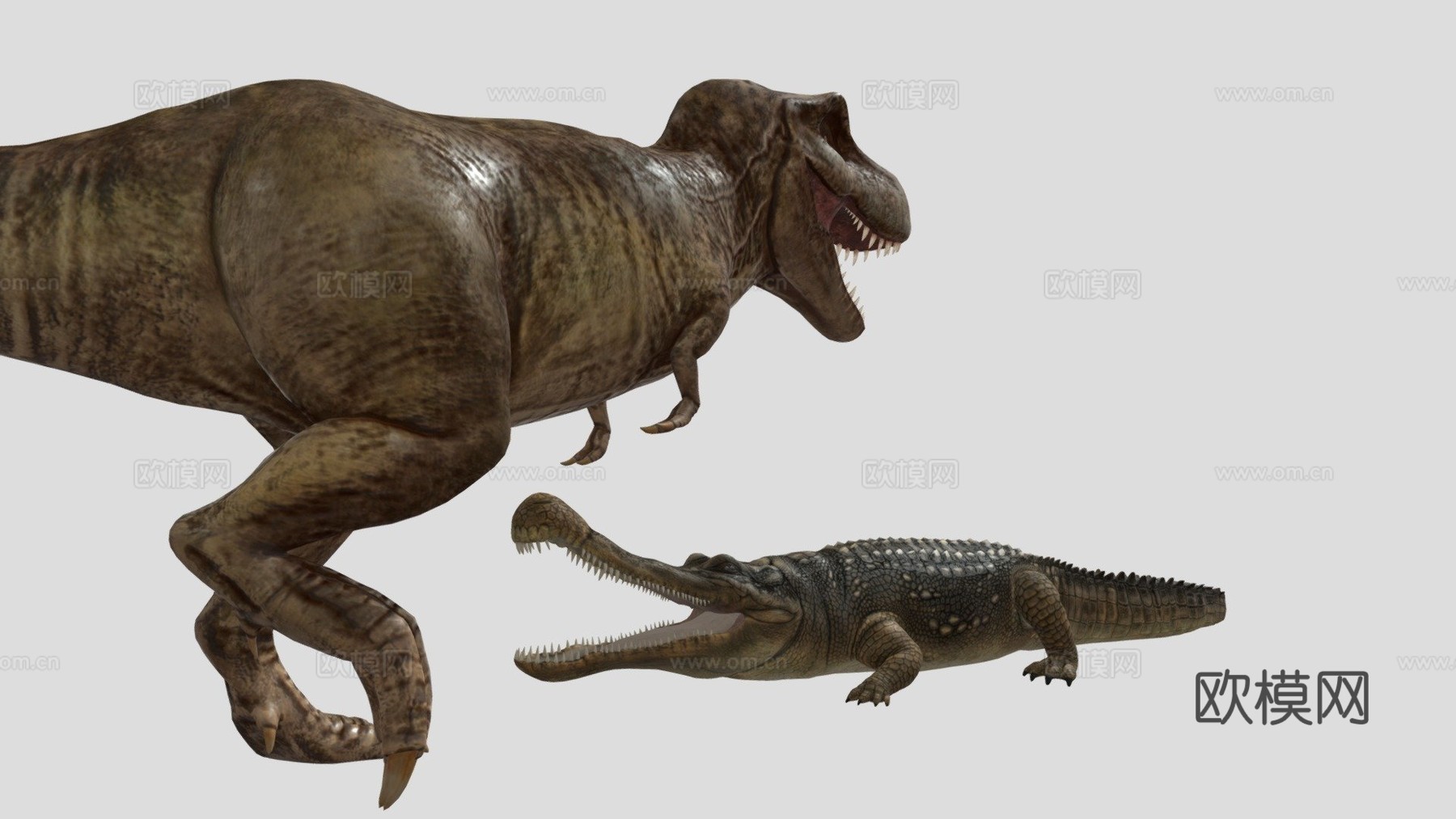 霸王龙对战帝王鳄su模型