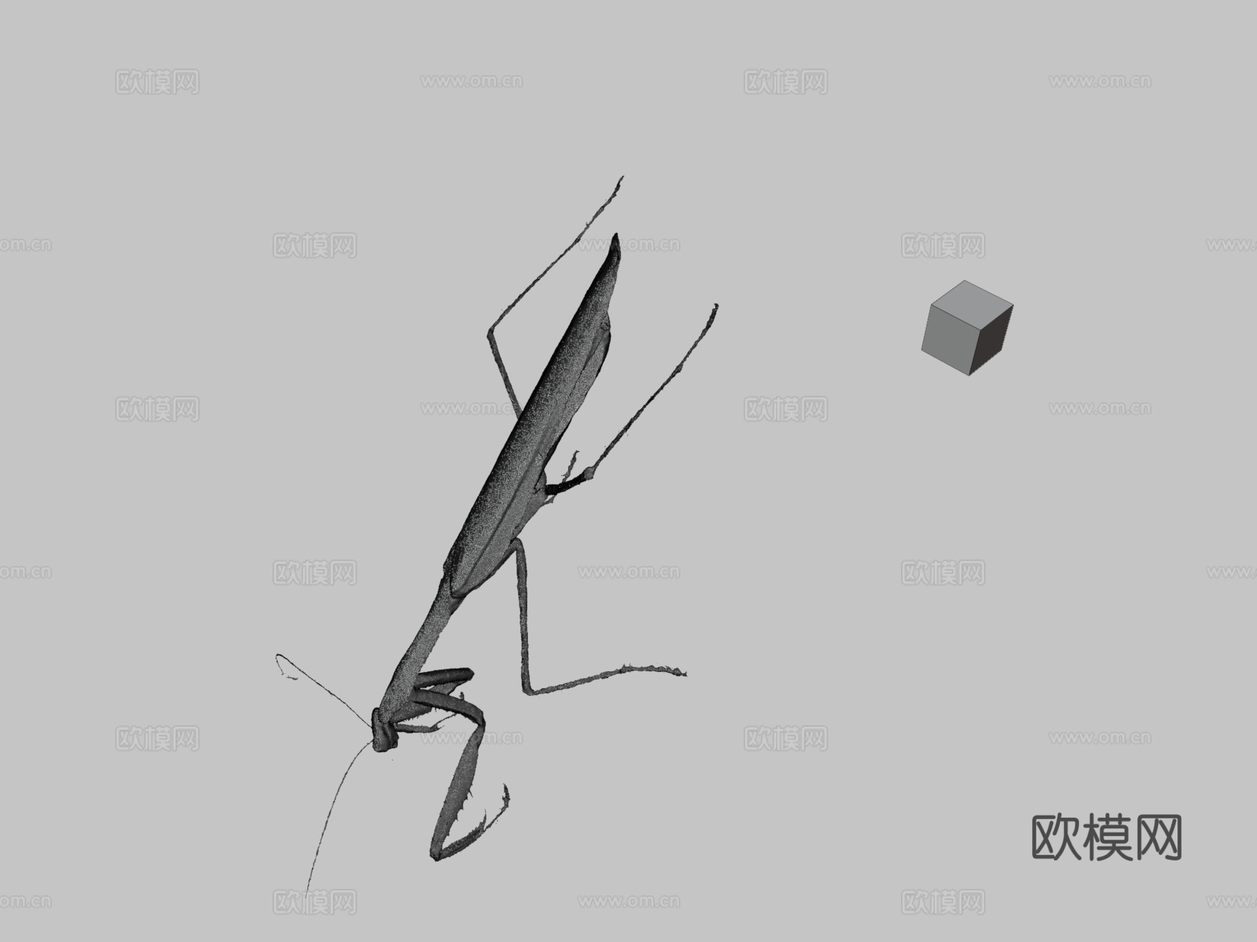 CC0大螳螂中华大刀螳su模型