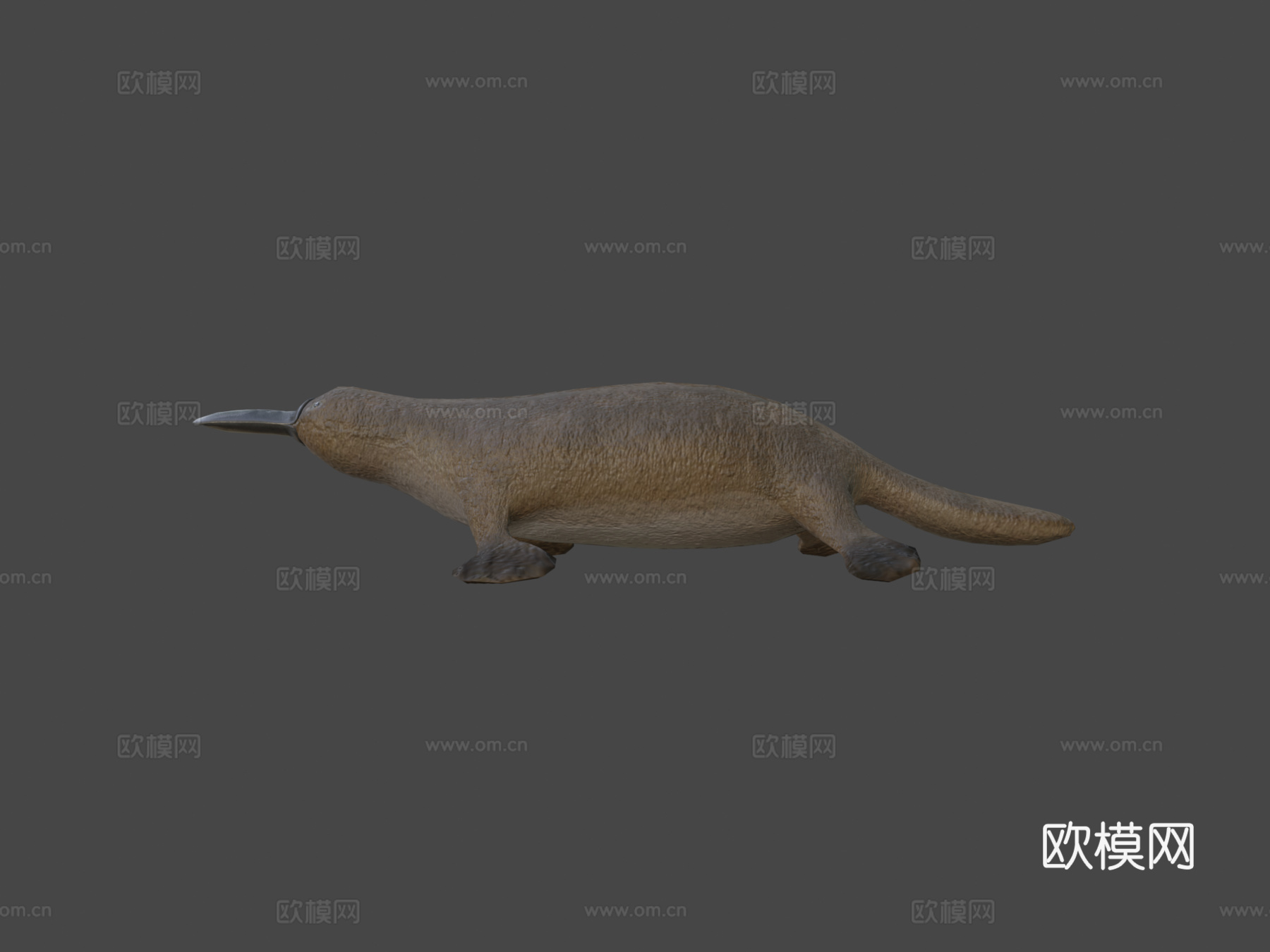 鸭嘴兽su模型