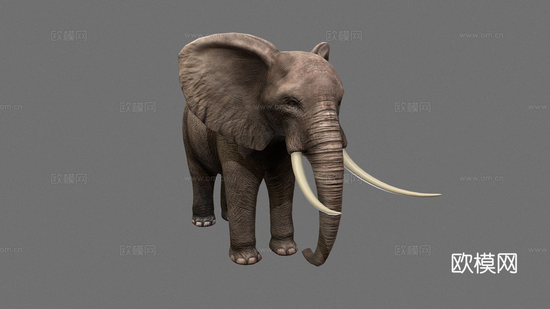 大象su模型