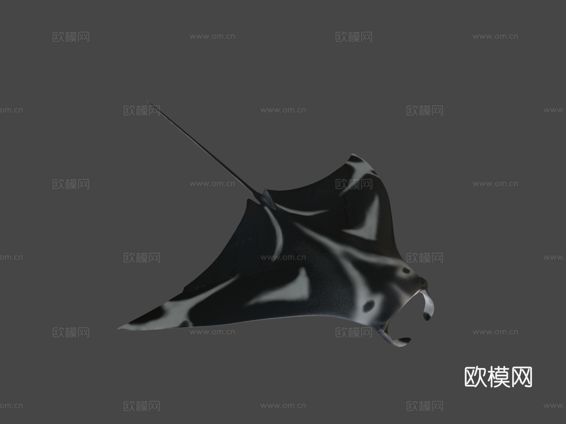 动画蝠鲼su模型