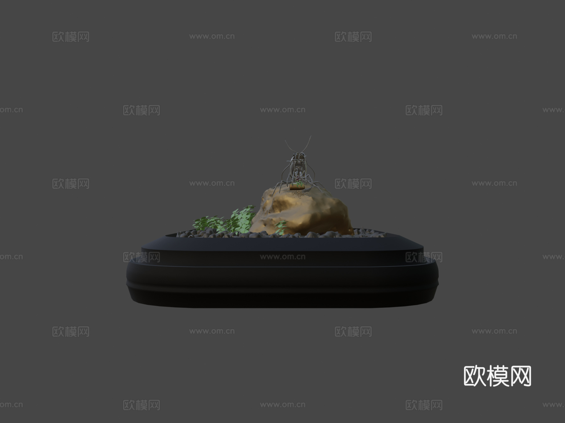 樱花虾完整场景su模型下载（渲染图5）