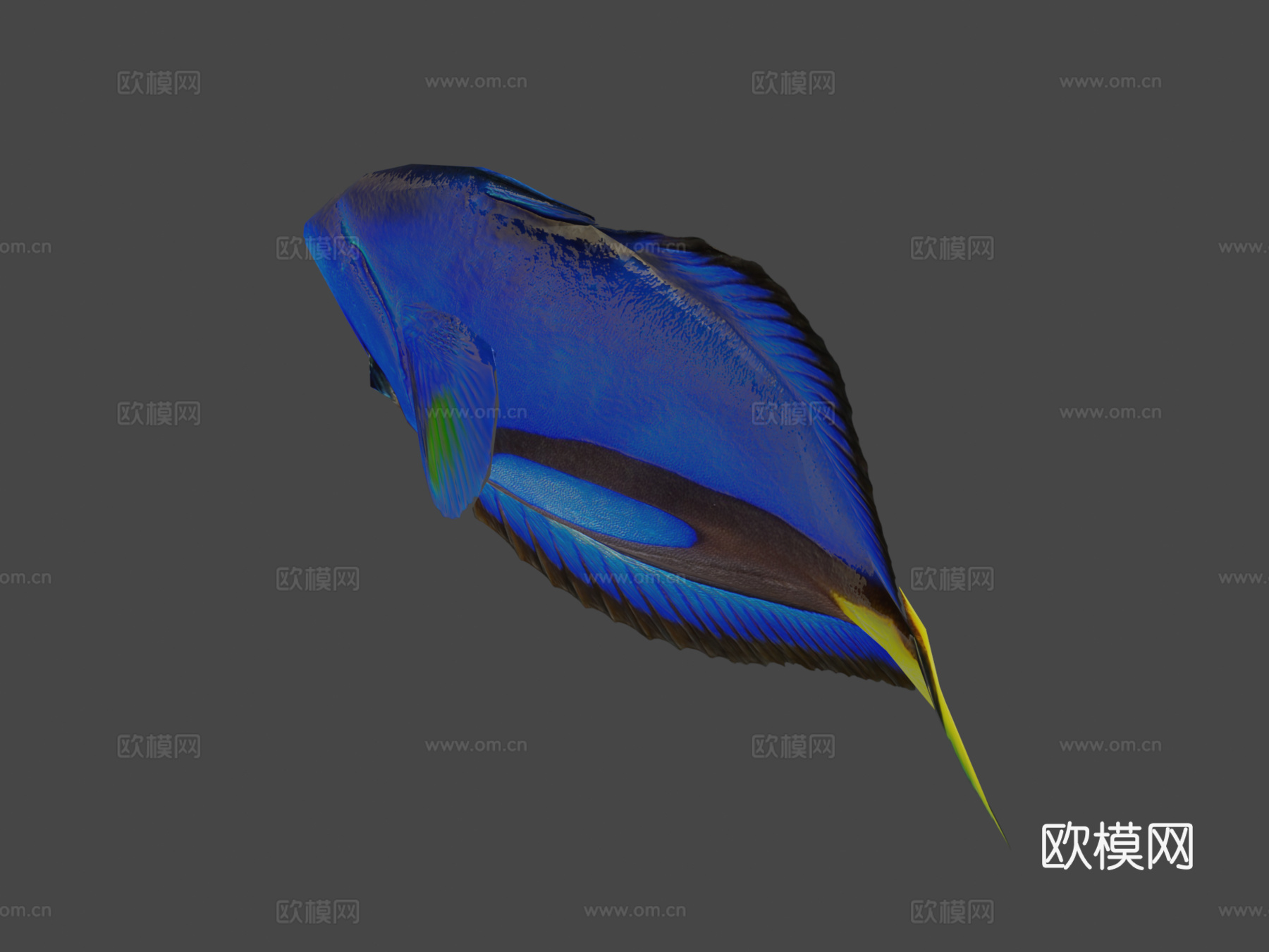多莉su模型下载（渲染图7）