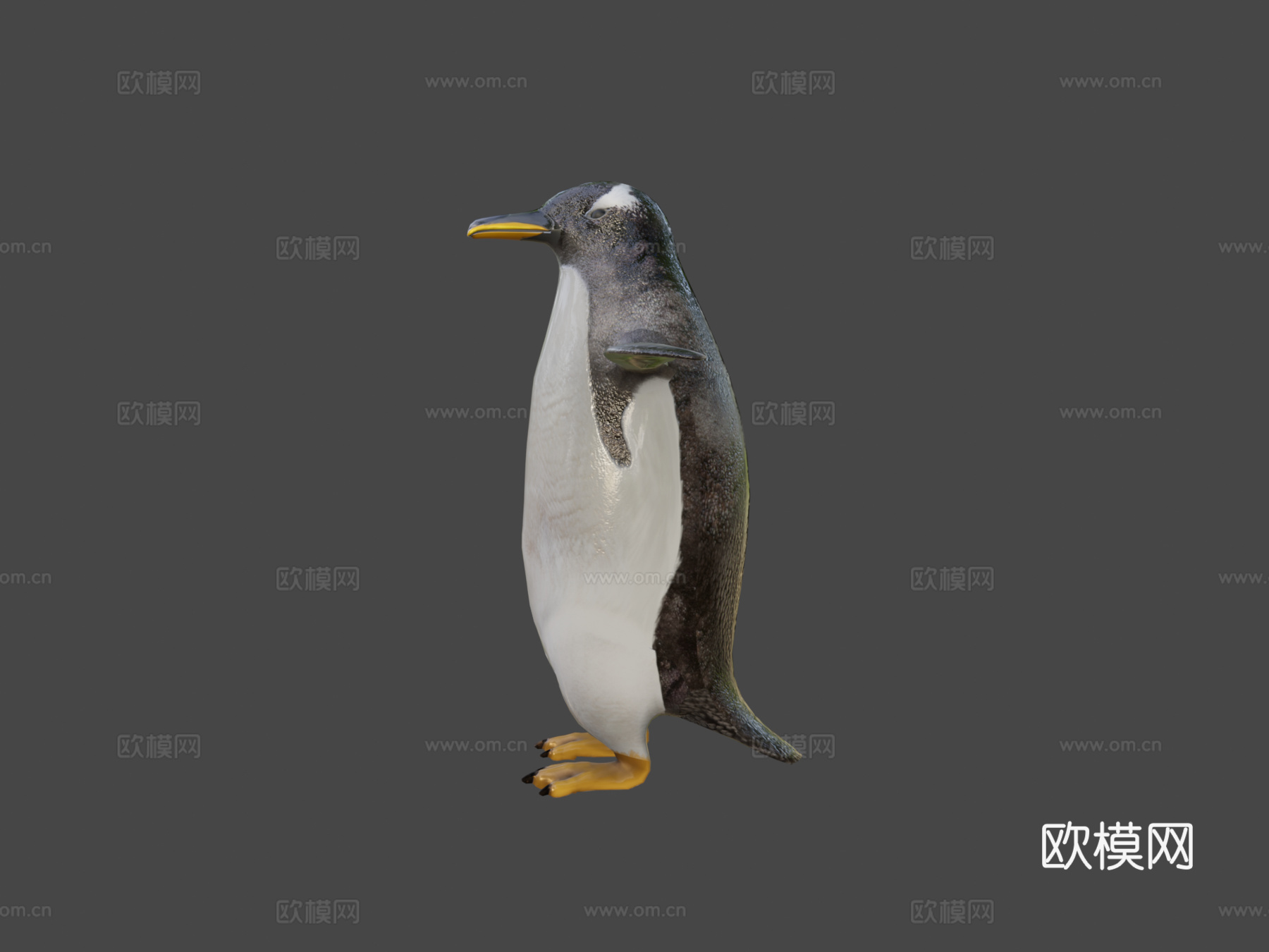 金图企鹅动物园su模型