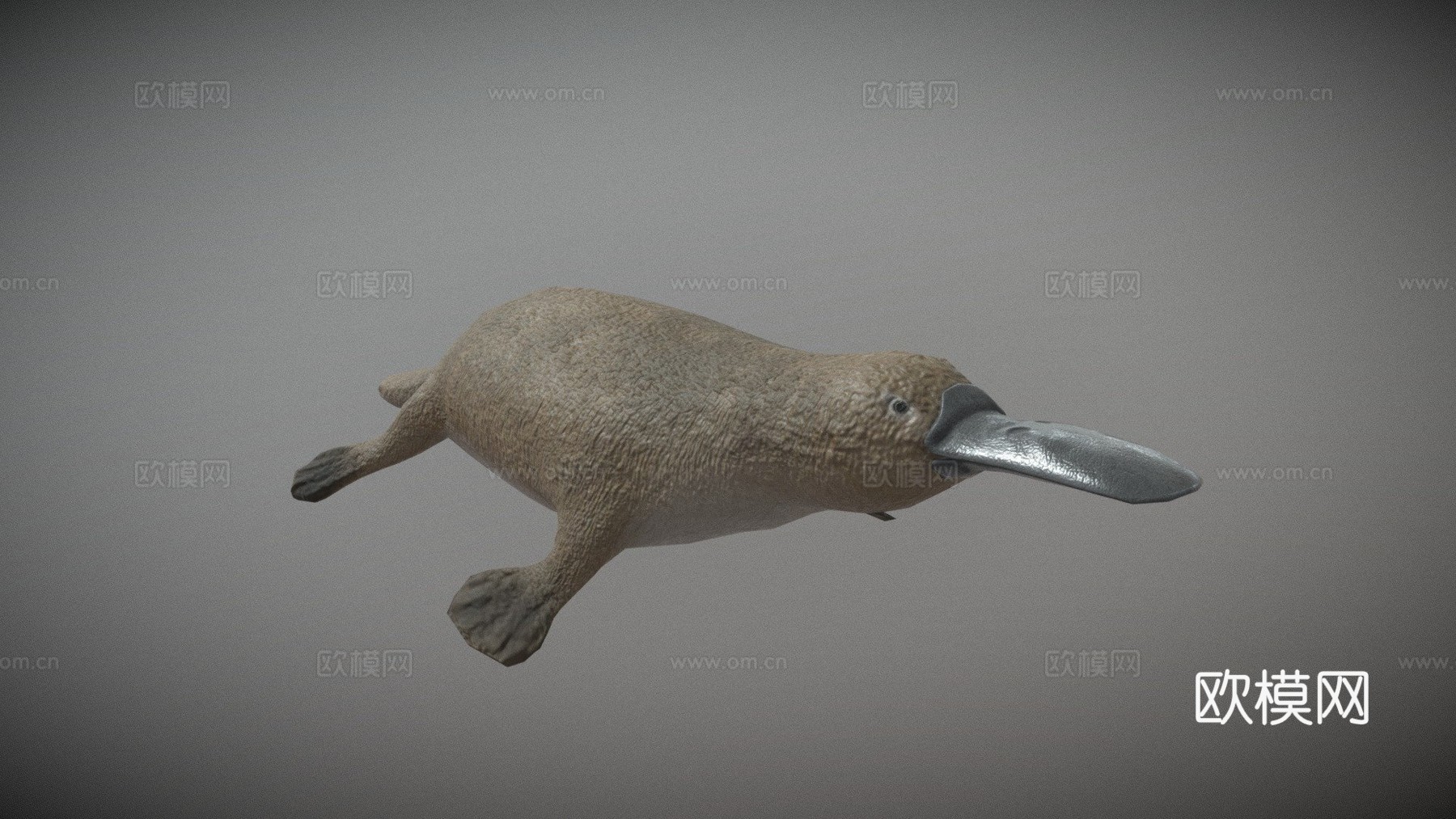 鸭嘴兽su模型