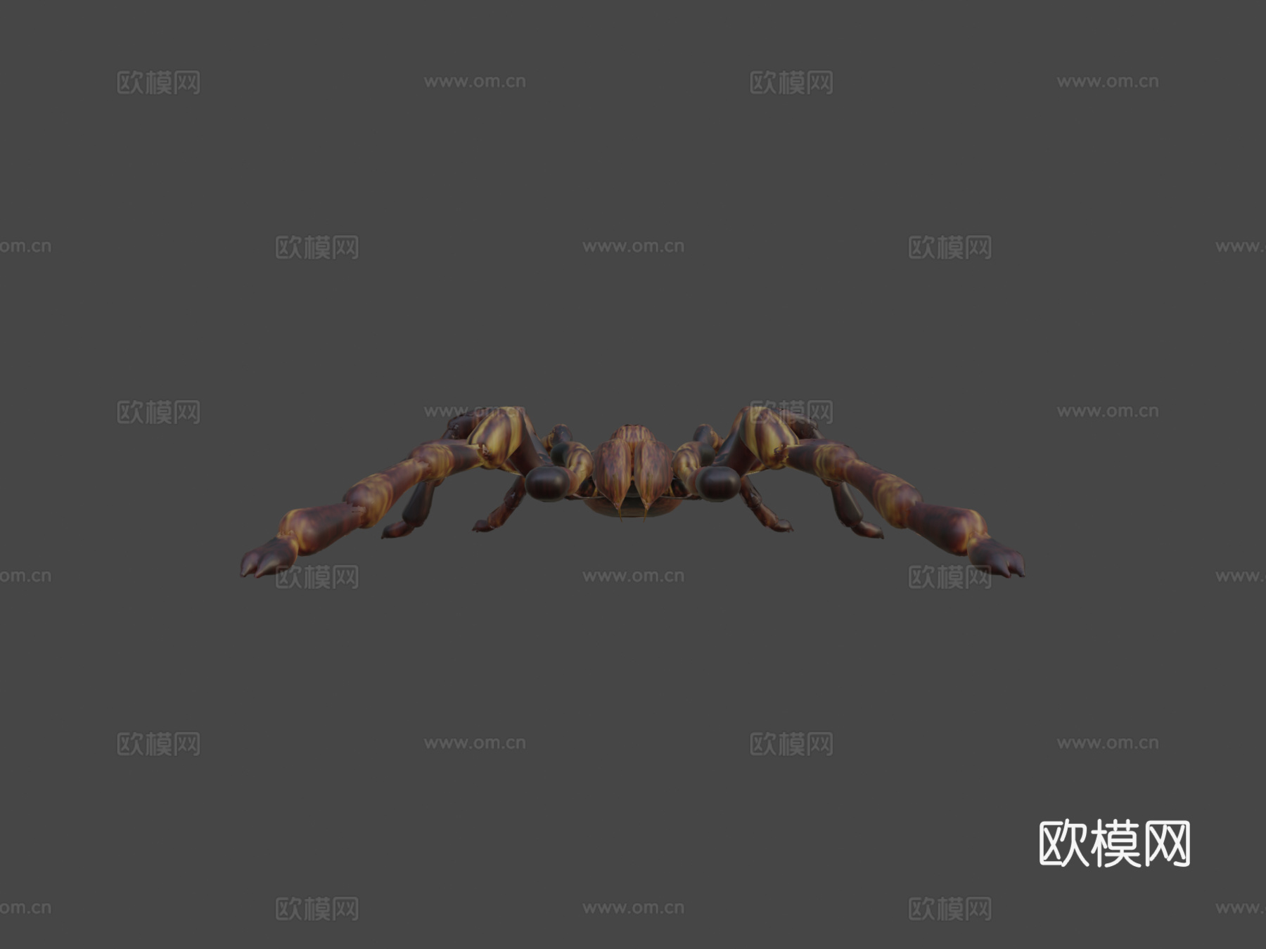 狼蛛su模型下载（渲染图6）