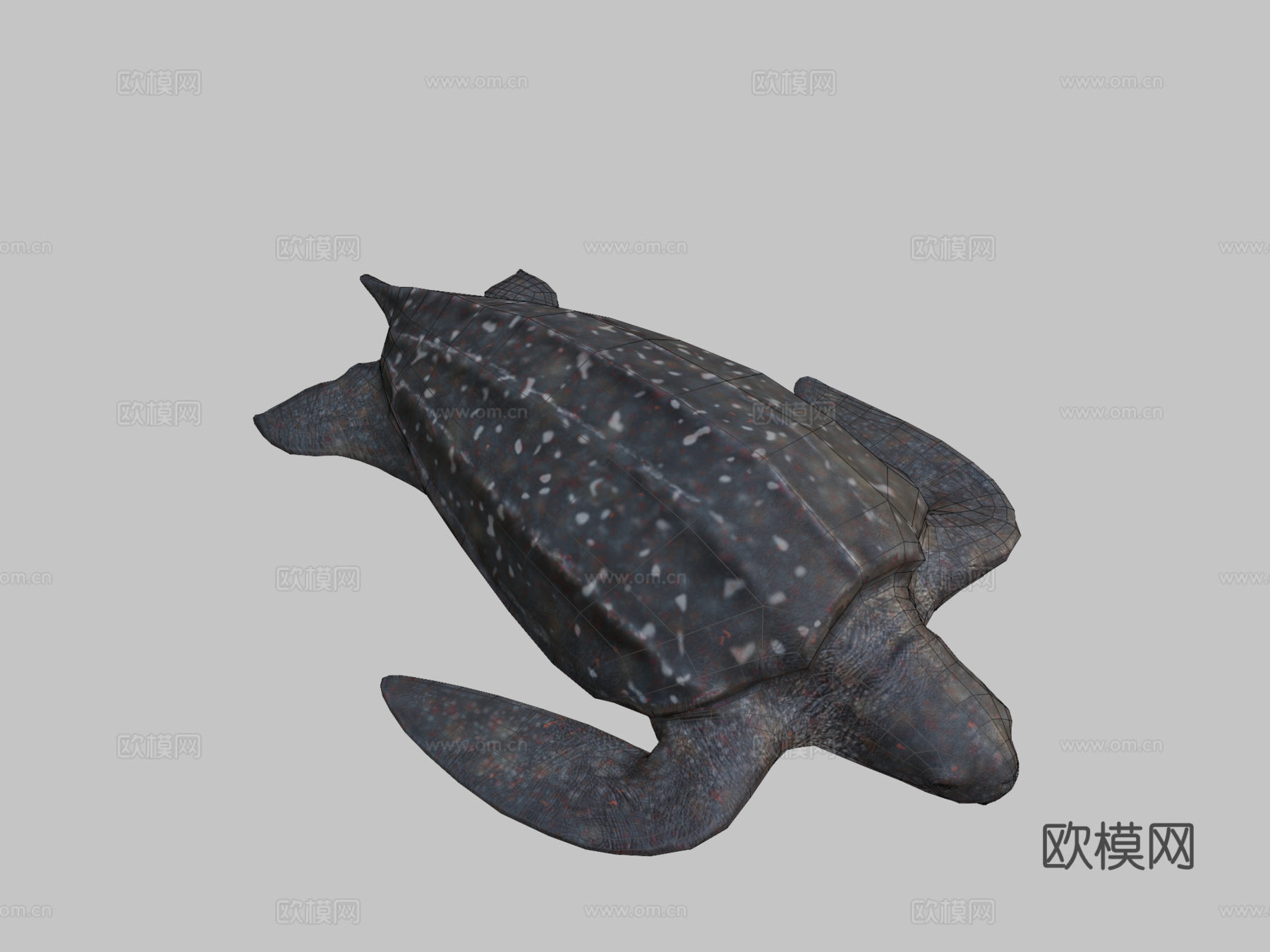 棱皮海龟su模型下载（渲染图2）