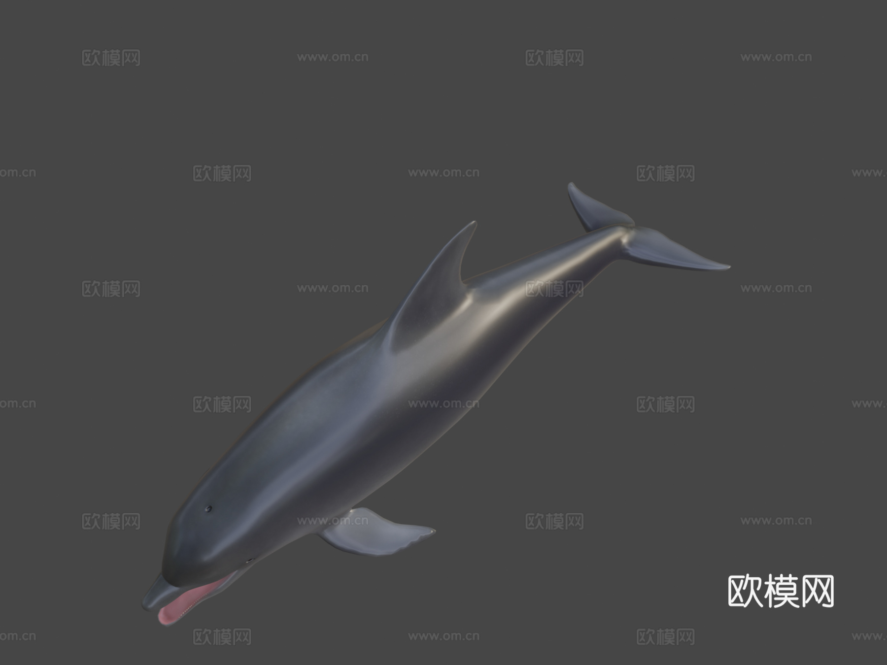 海豚su模型下载（渲染图8）