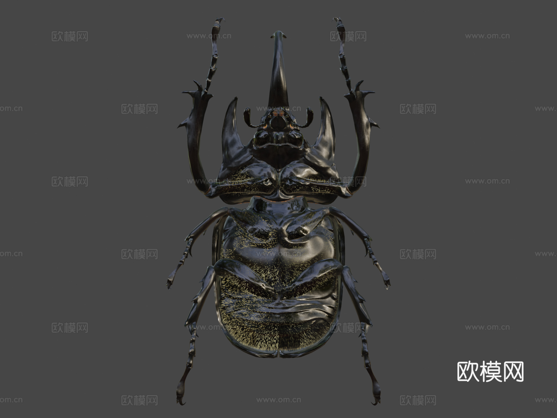 巨犀金龟su模型