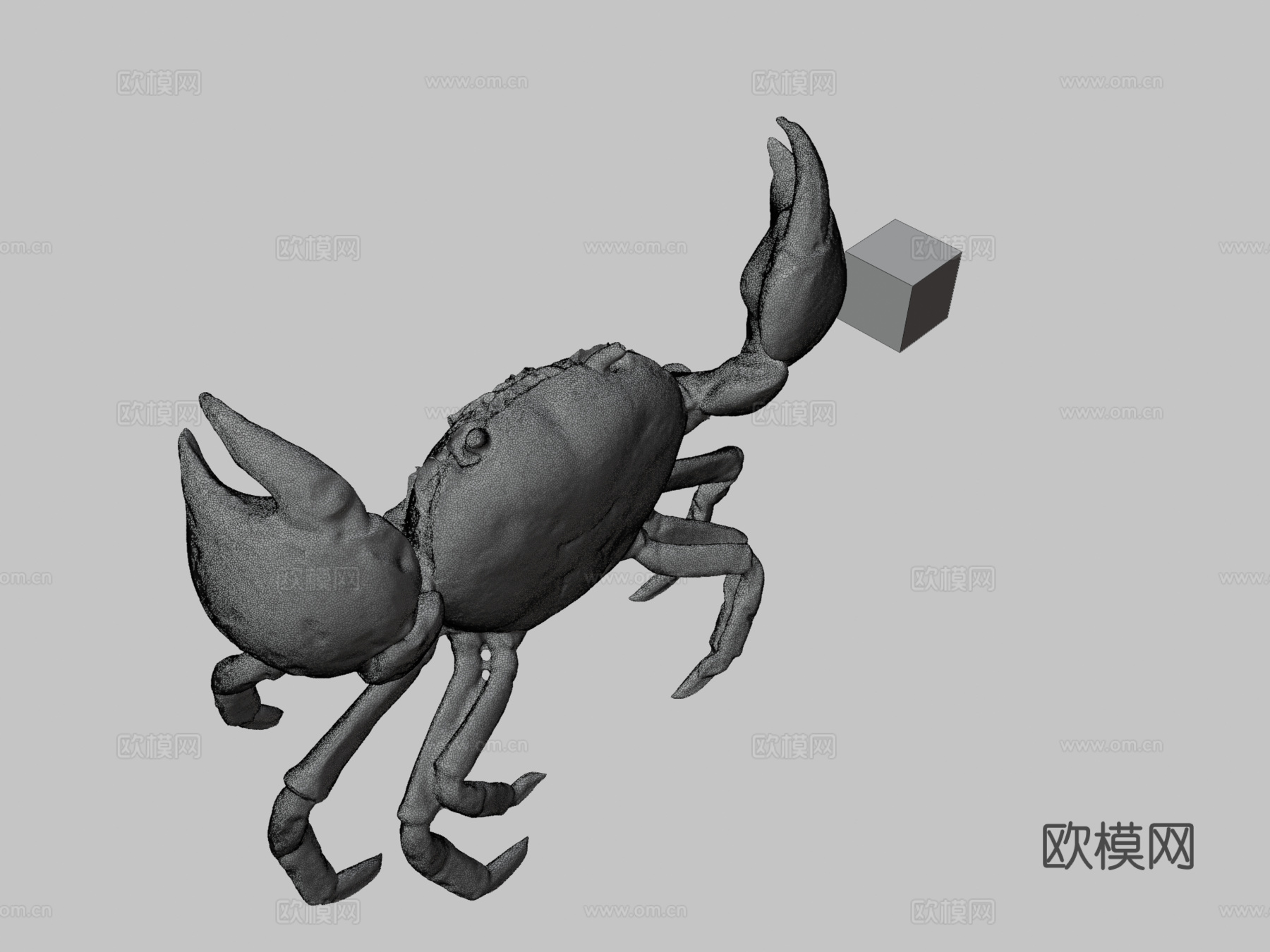 CC0红蟹光滑岸蟹su模型下载（渲染图3）