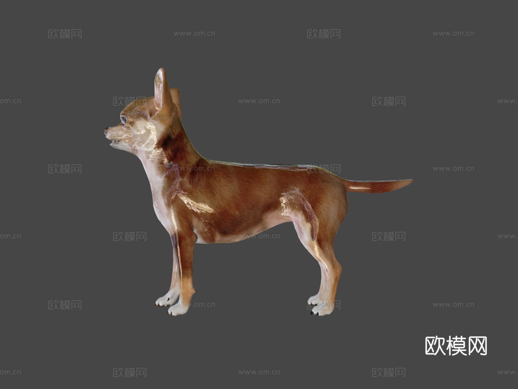 吉娃娃游戏就绪su模型