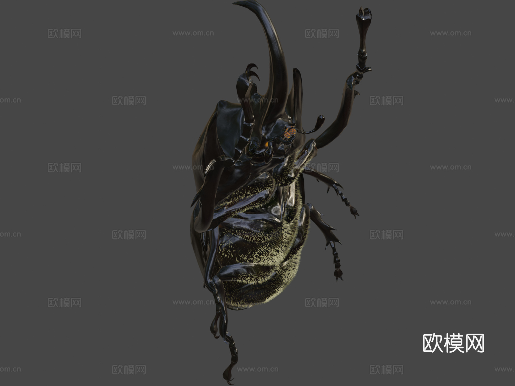 巨犀金龟su模型