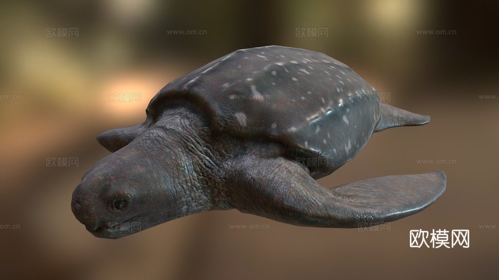 棱皮海龟su模型下载（渲染图1）