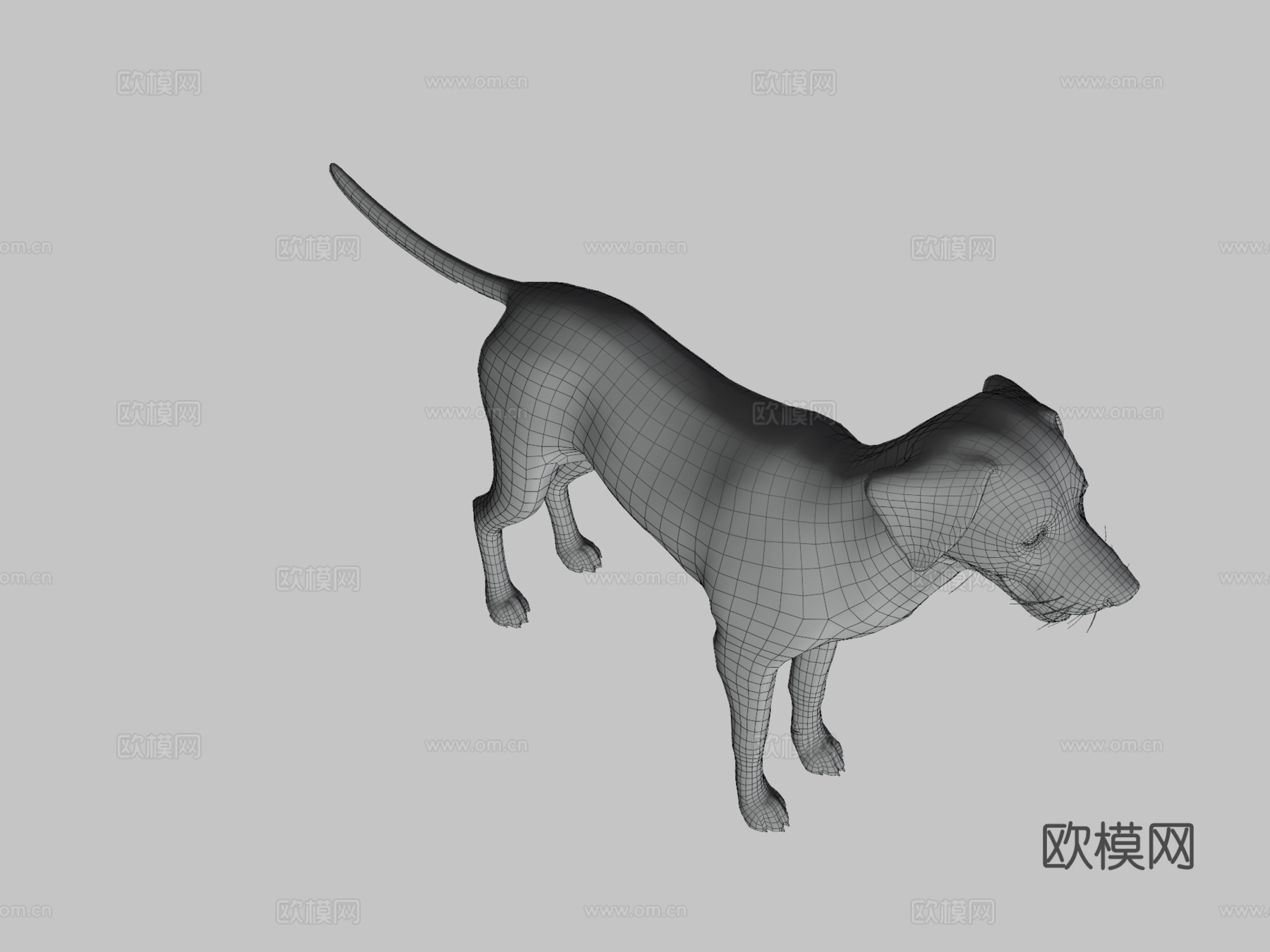 狗斑点狗v2su模型