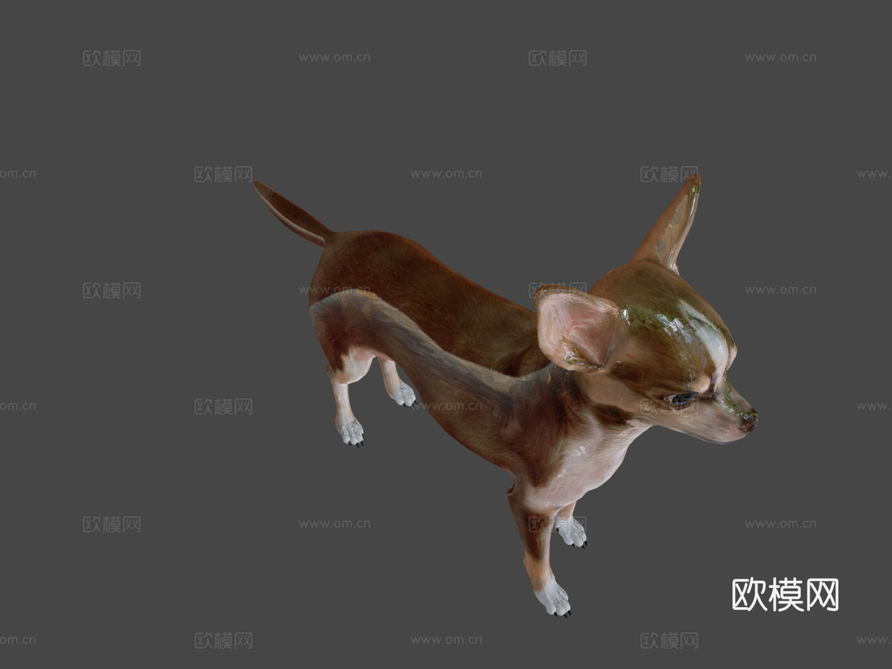 吉娃娃游戏就绪su模型