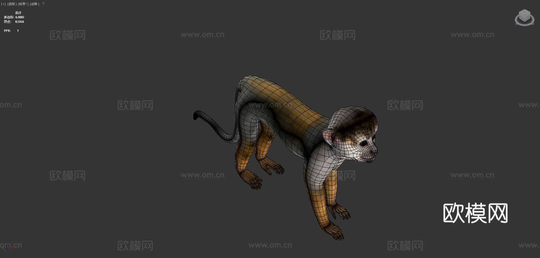 松鼠猴游戏就绪su模型