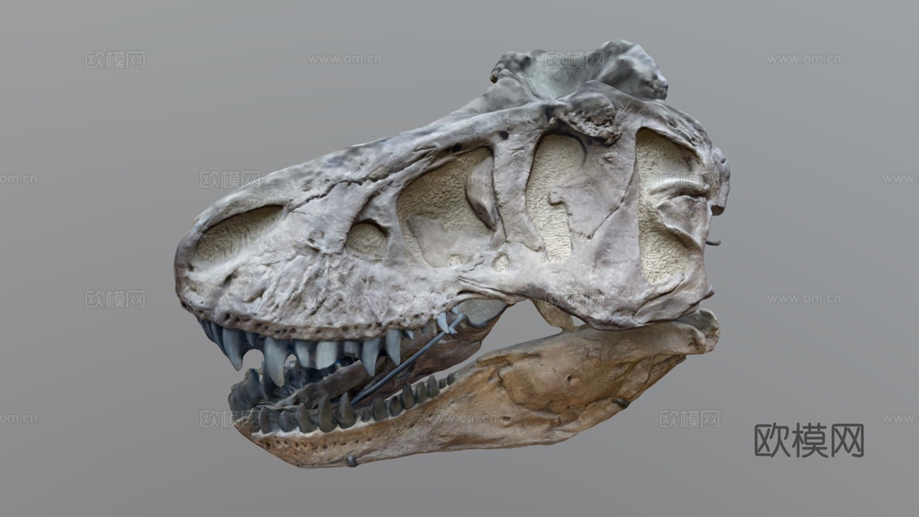 起重机霸王龙su模型