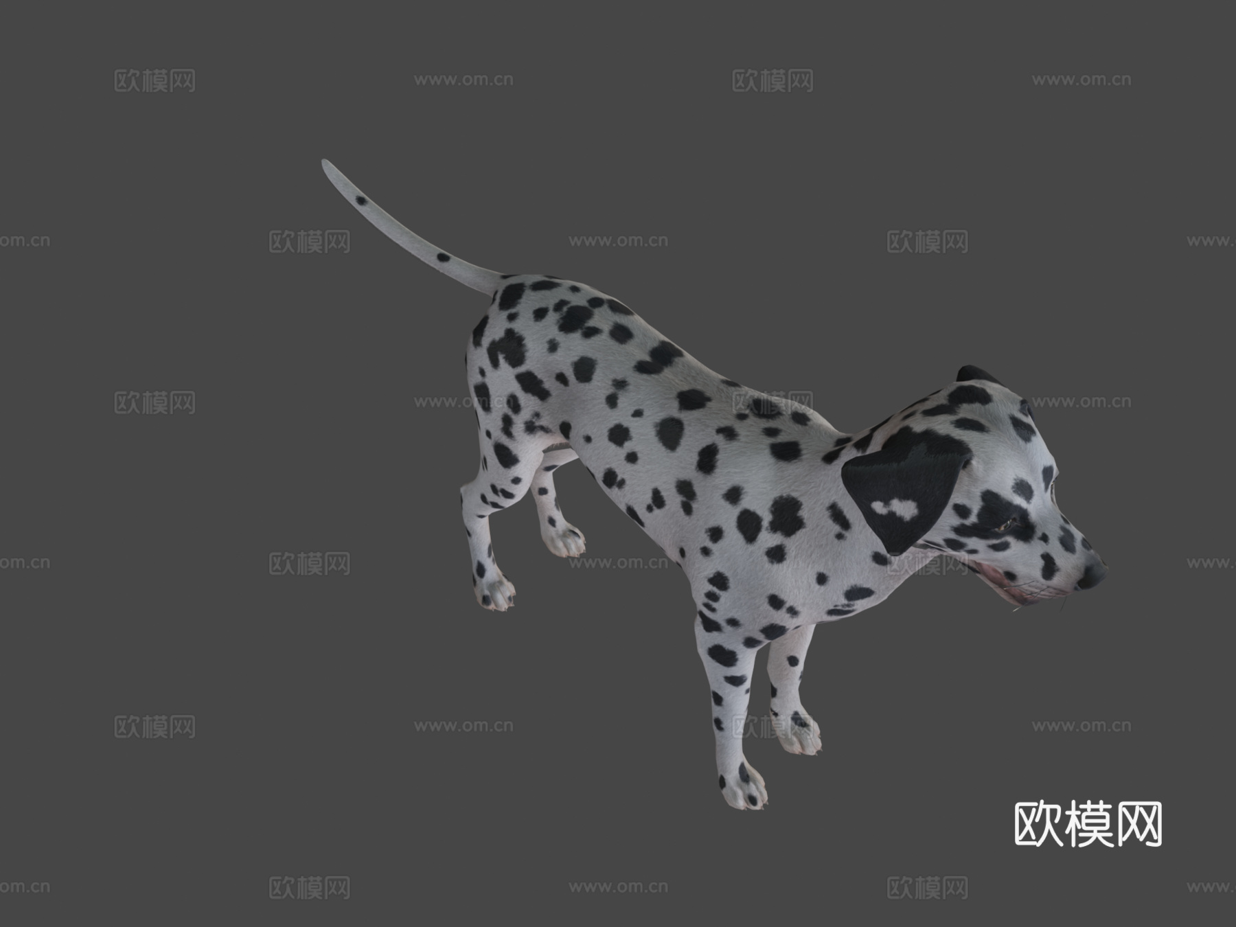 狗斑点狗v2su模型
